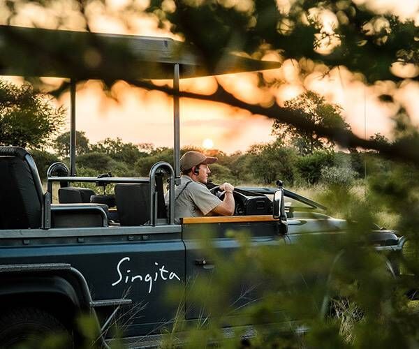 Safari jeep with a driver in a khaki hat at sunset, framed by foreground branches