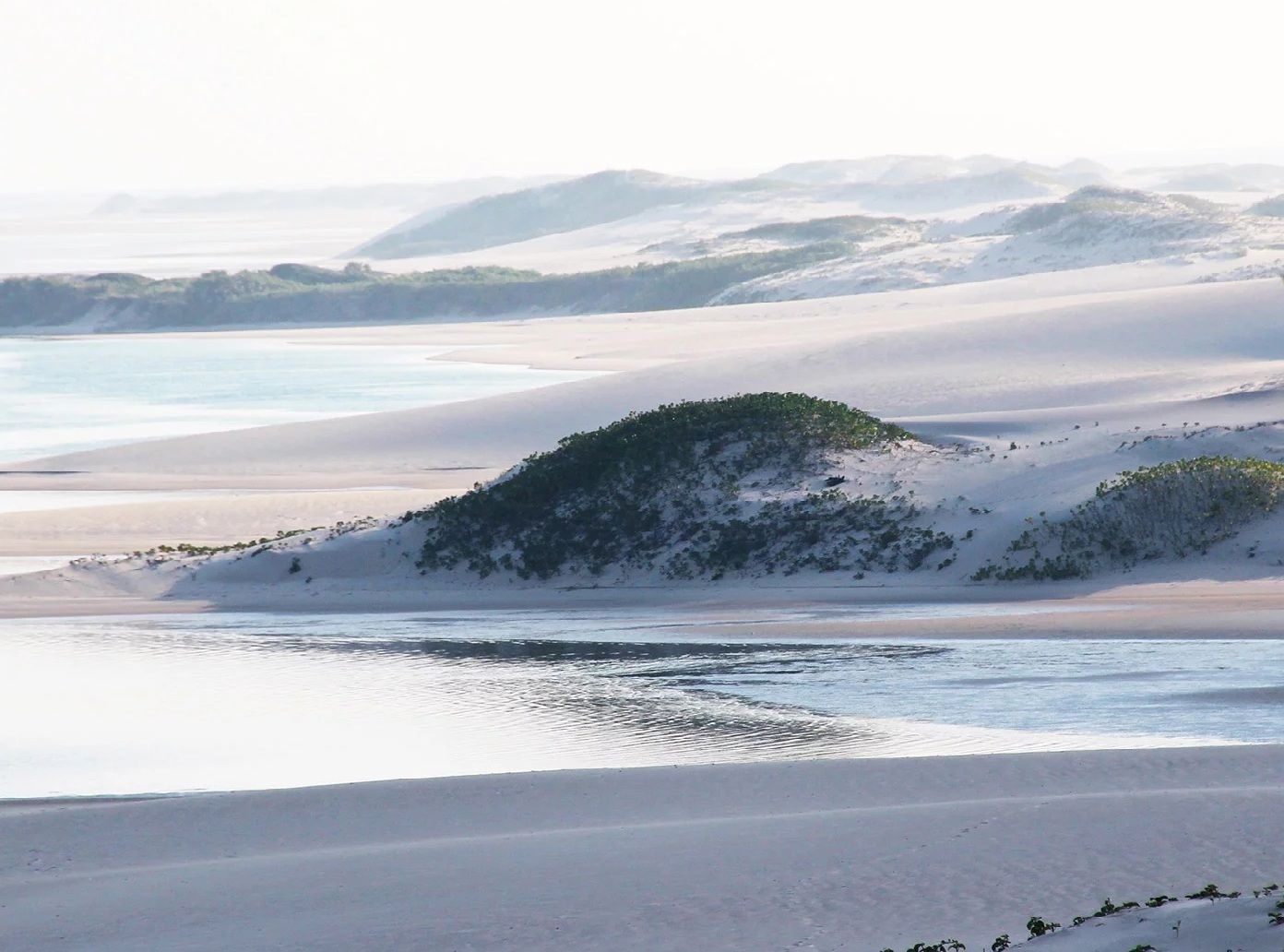Snowy dunes and a calm frozen shoreline beneath a pale winter sky