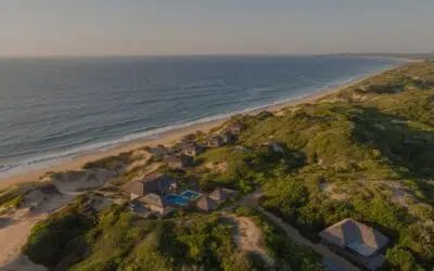 Aerial view of a coastal landscape with beach, ocean, and small buildings along a green shoreline