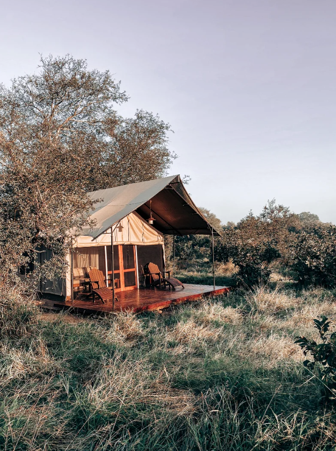 Small safari tent on a grassy plain with trees in the background at sunset