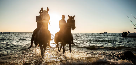 Two horses and riders splashing through shallow water at sunset with the sun behind them
