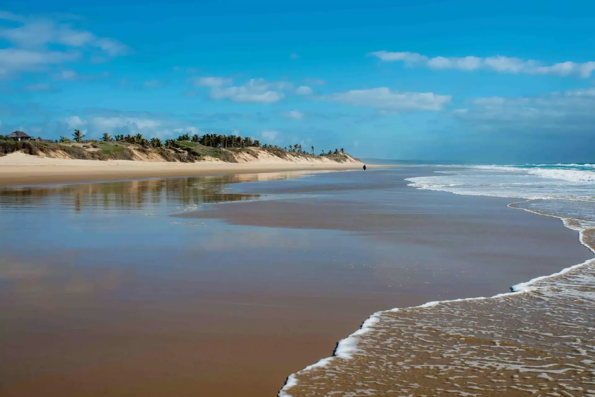 Sunny beach shoreline with gentle waves, wet sand, and dunes under a blue sky