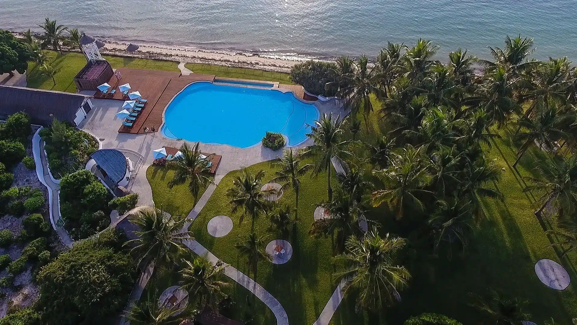 Aerial view of a resort pool beside the beach, surrounded by palm trees and loungers.