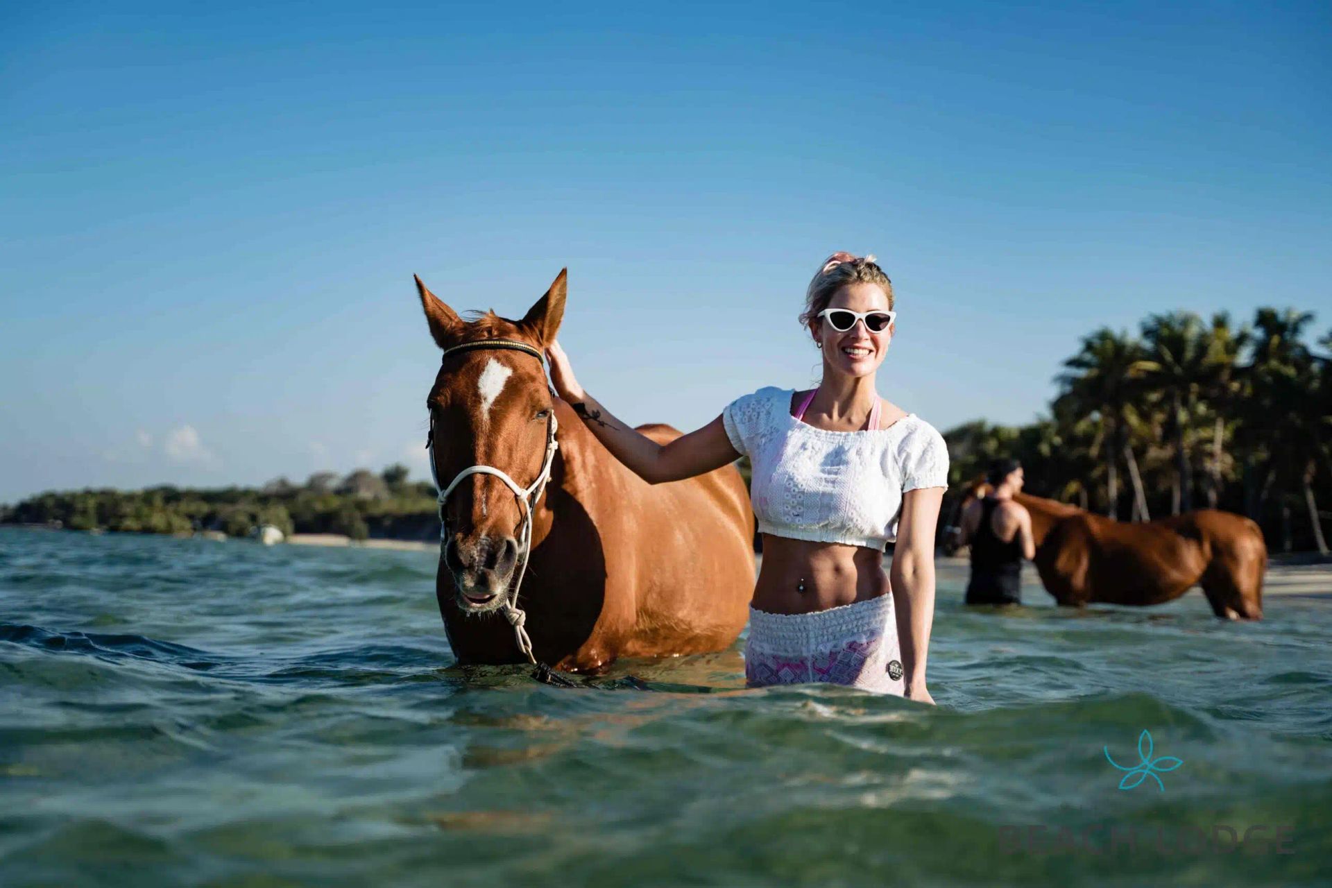 Woman standing with a horse in shallow ocean water, with two more horses and palm trees in the background.