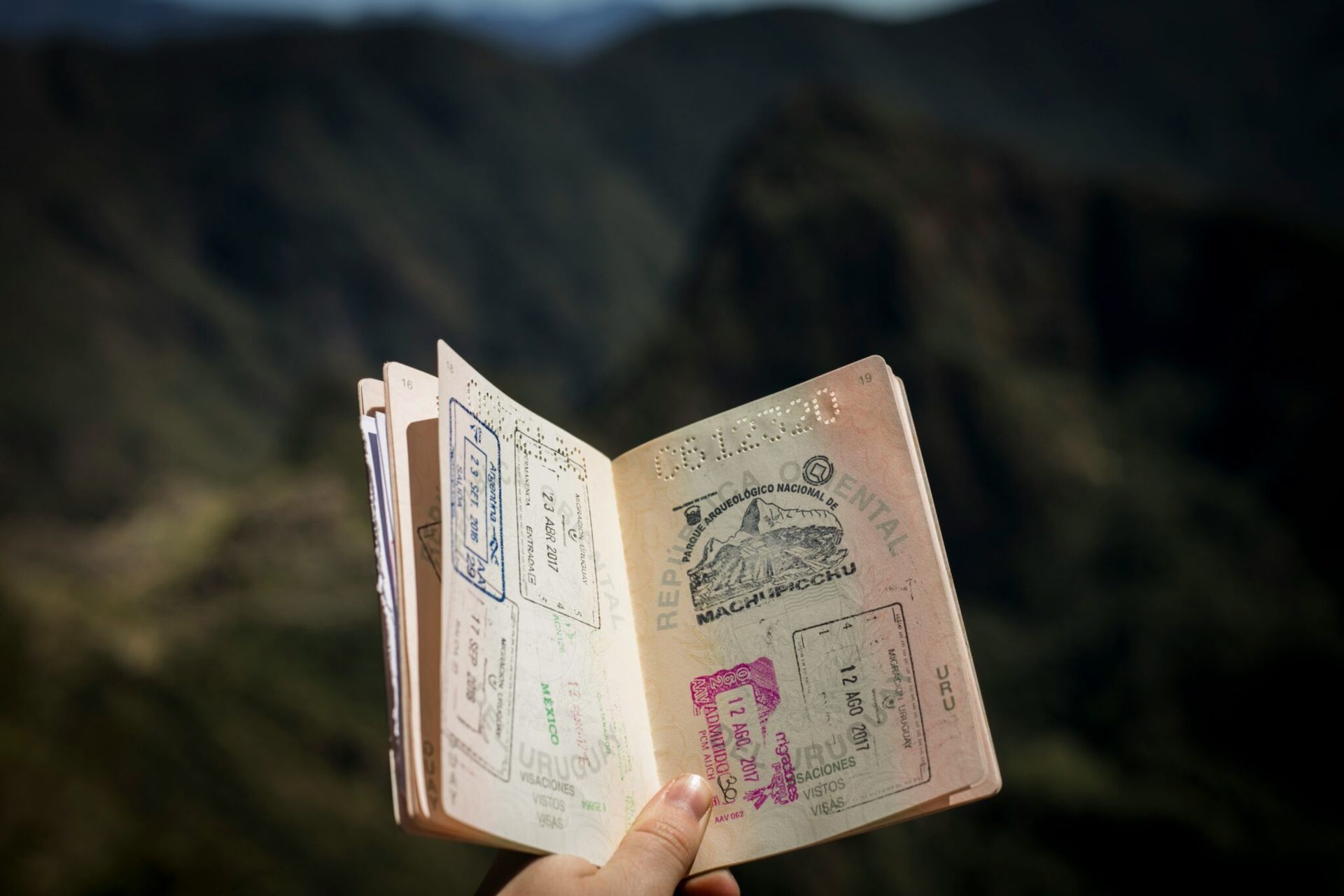 Hand holding open illustrated notebook with sketches, outdoors against a blurred dark green background