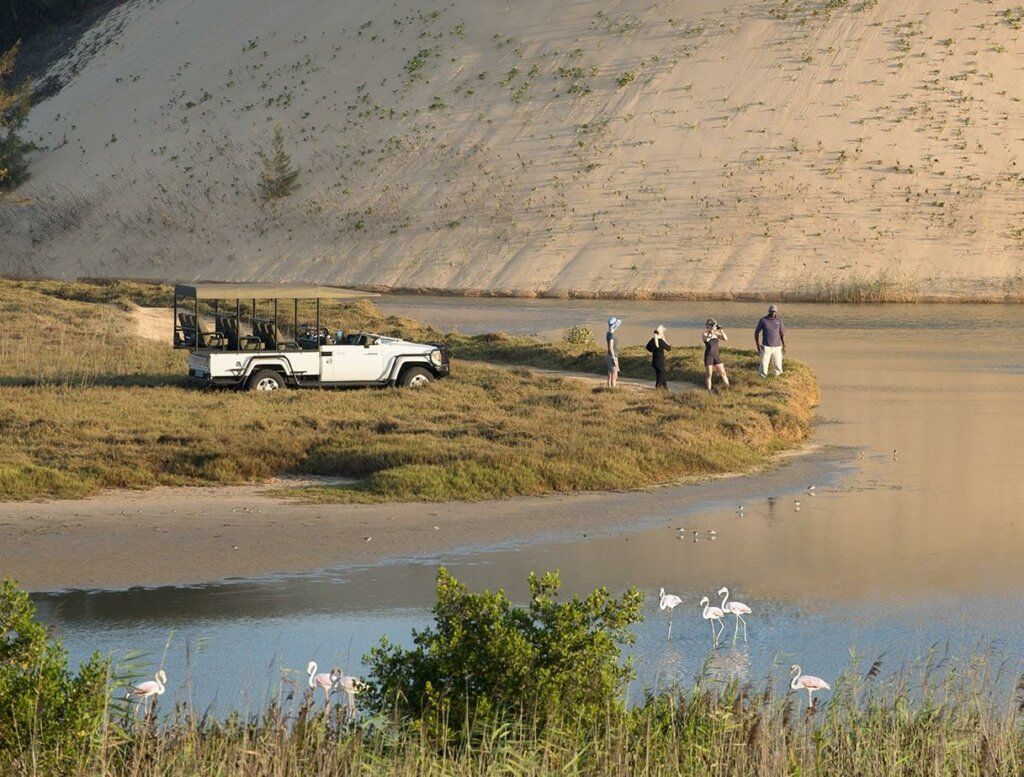 White truck and a small group of people by a riverbank with water birds and a rocky hillside in the background