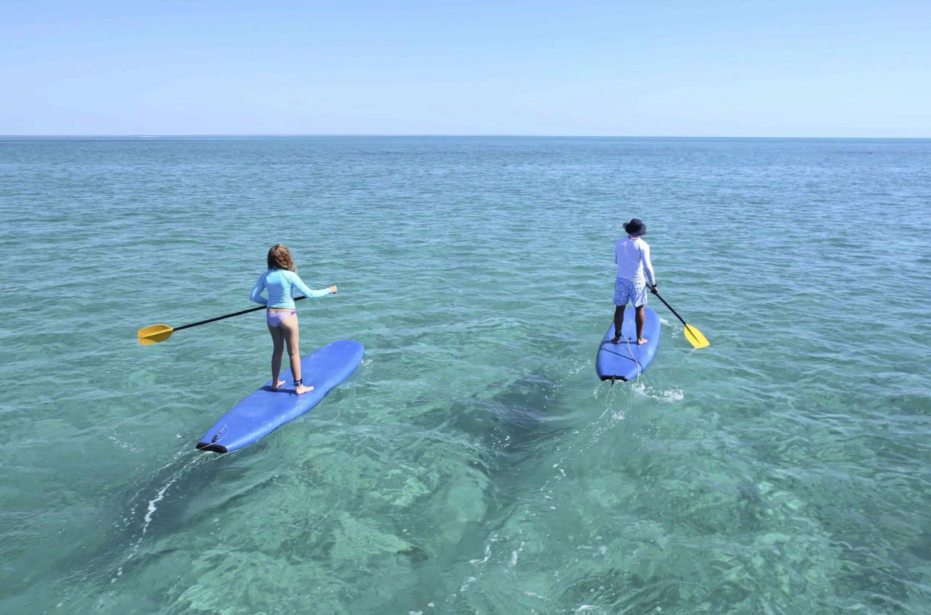 Two people paddleboarding on clear blue ocean water under a sunny sky.