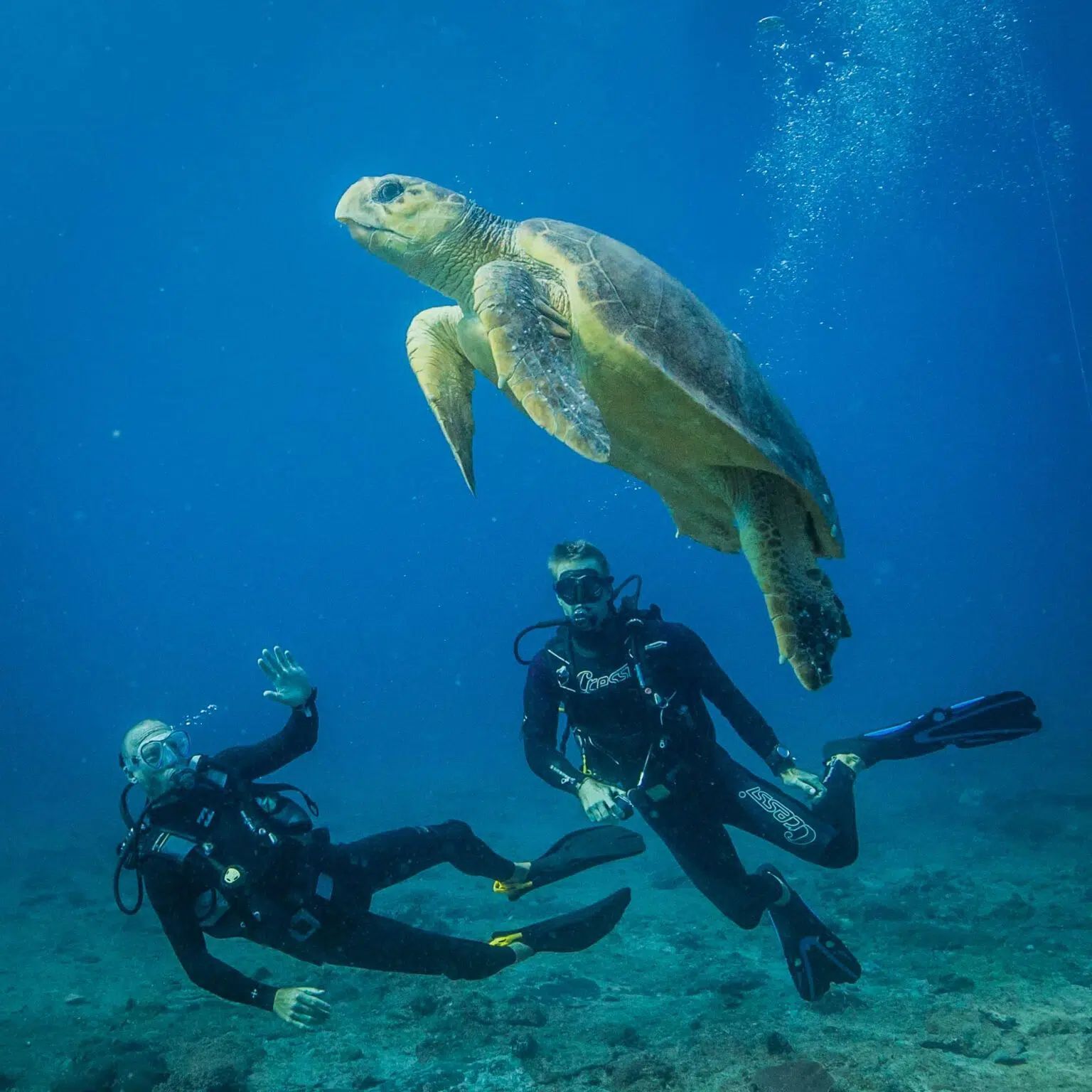 Two scuba divers swim underwater next to a large sea turtle in a deep blue ocean.
