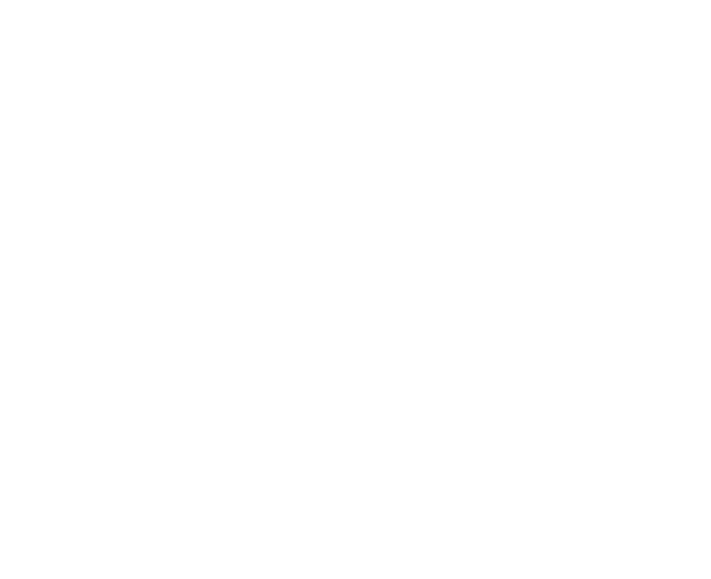 Mostly blank white image with a thin gray horizontal line near the bottom and a black border at the bottom edge