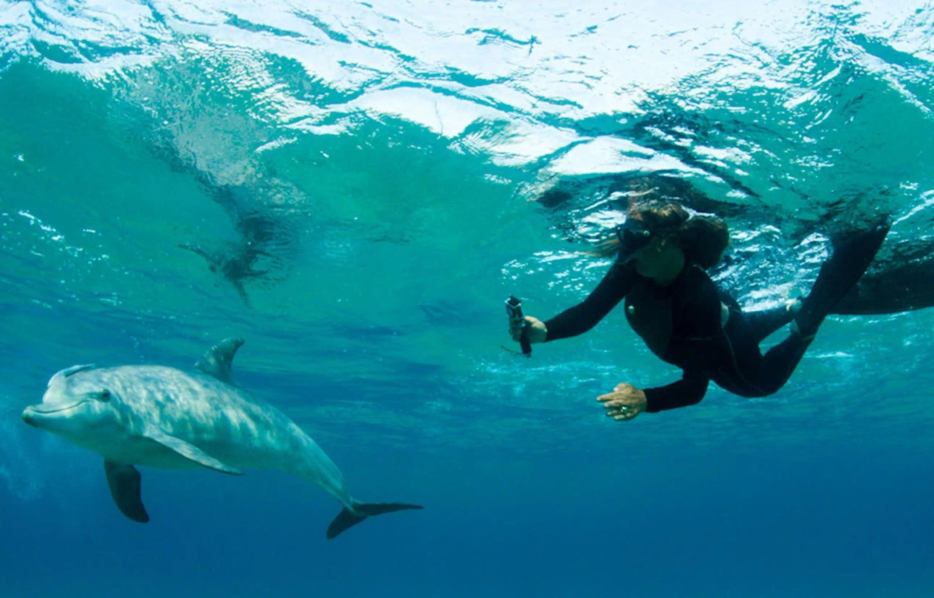 Scuba diver swimming beside a sea turtle in clear blue water