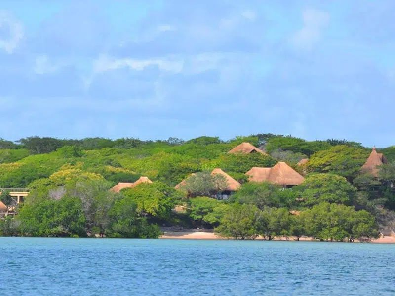 Thatched-roof buildings nestled in a lush, green forest along a sunny tropical coastline.