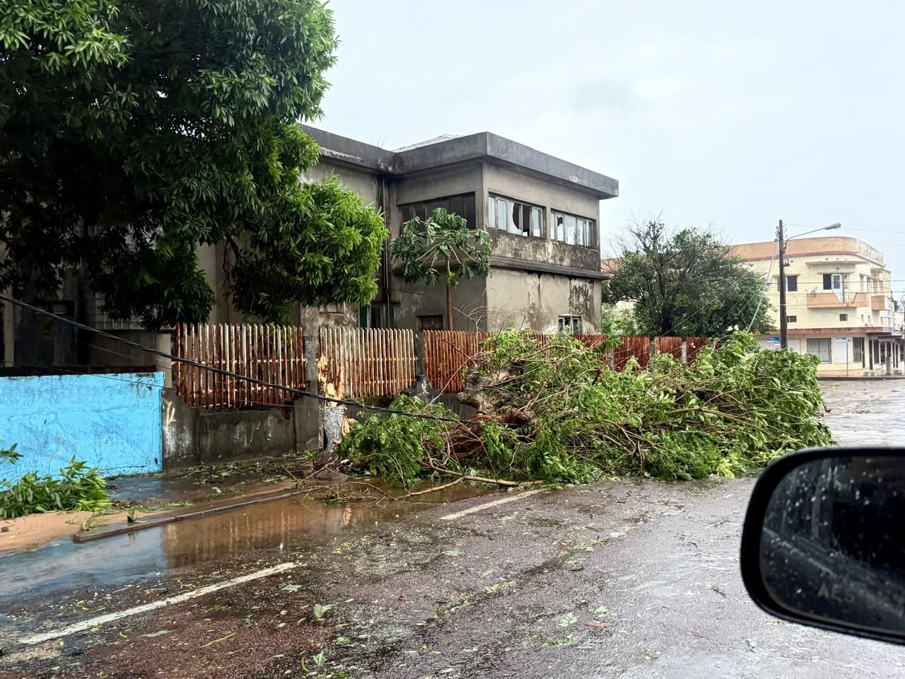 Rainy street with a fallen tree branch blocking the road beside a house and parked car.