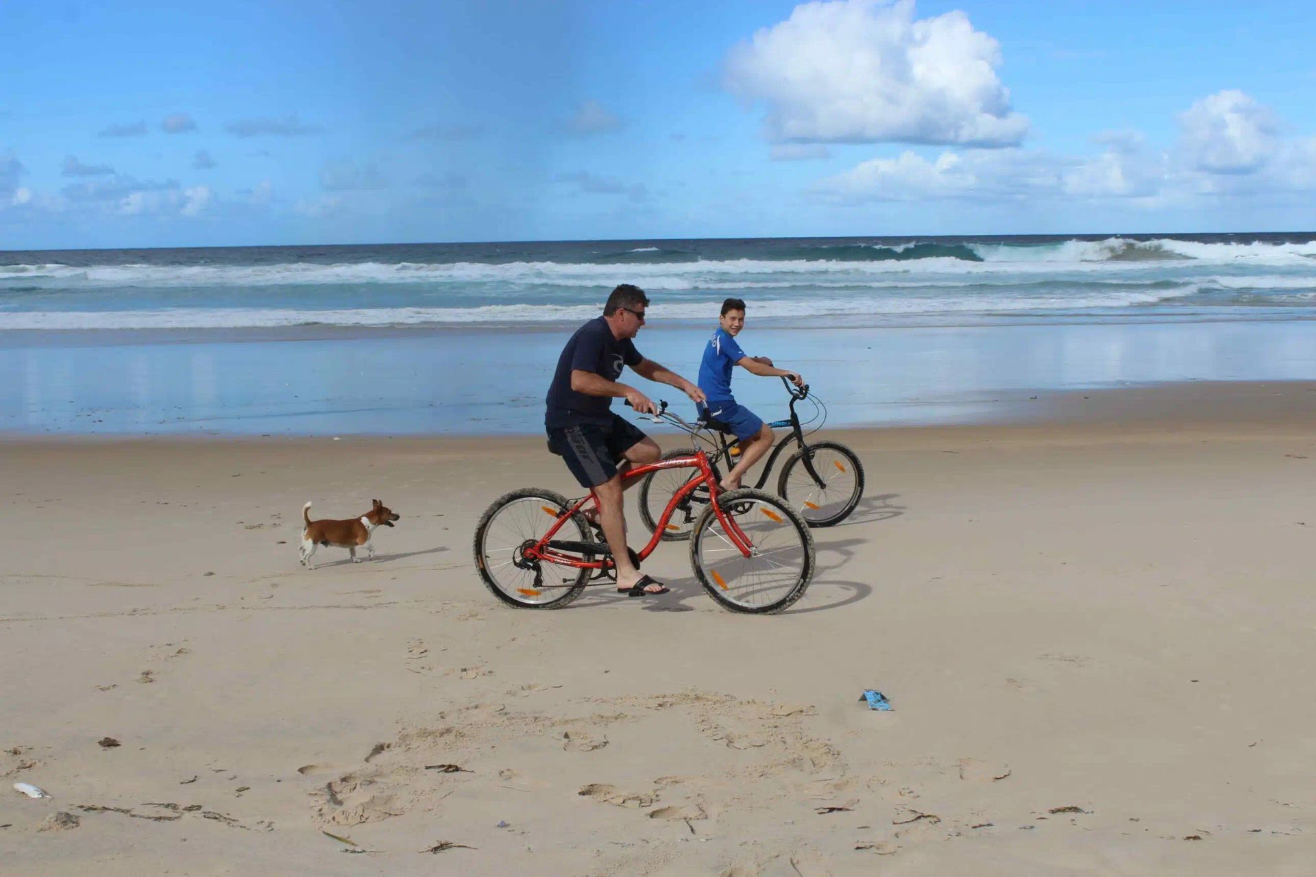 Two cyclists ride along a sandy beach with waves in the background and a small dog nearby.