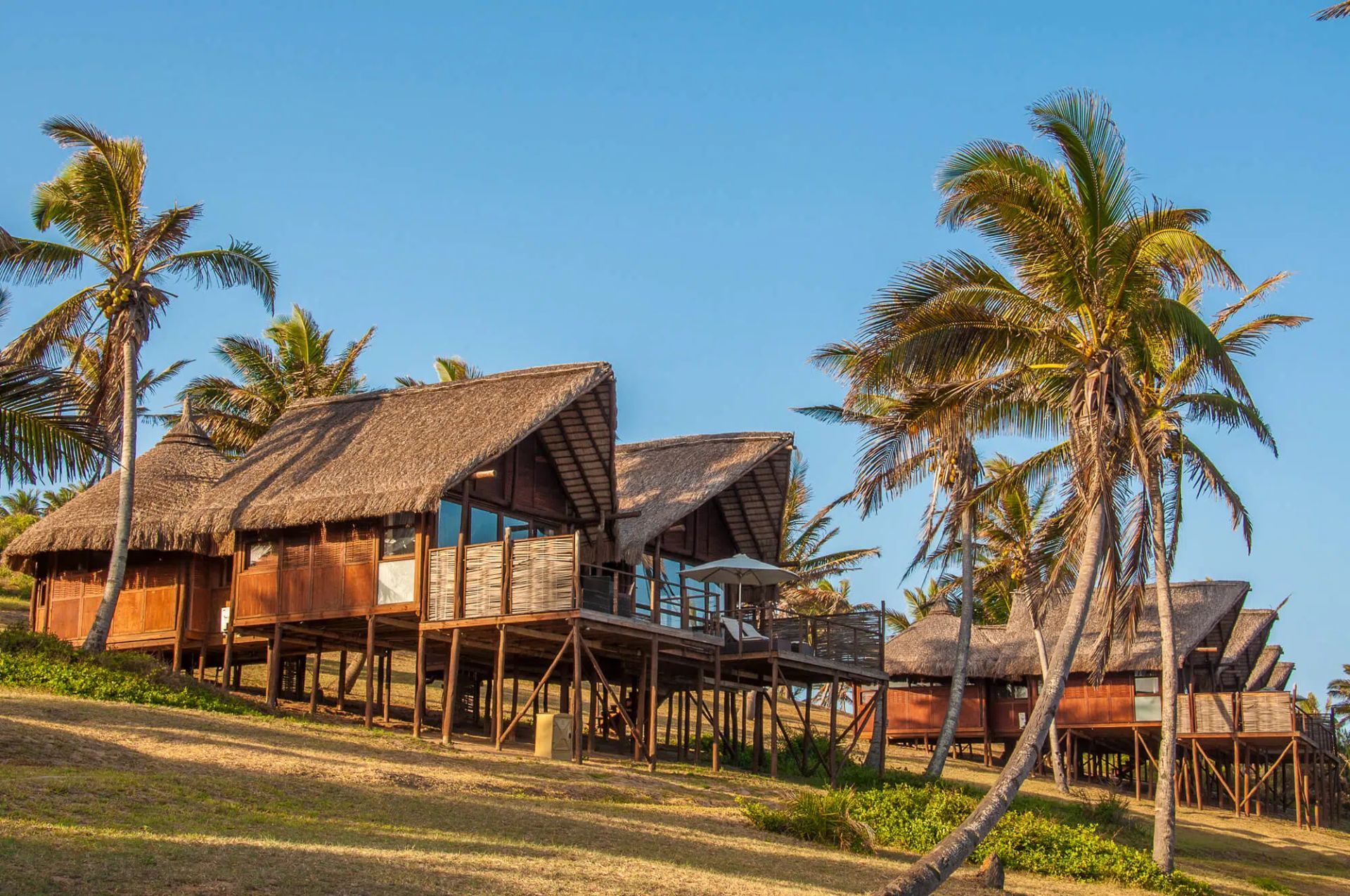 Palm-thatched beach bungalows on stilts among palm trees under a clear blue sky.