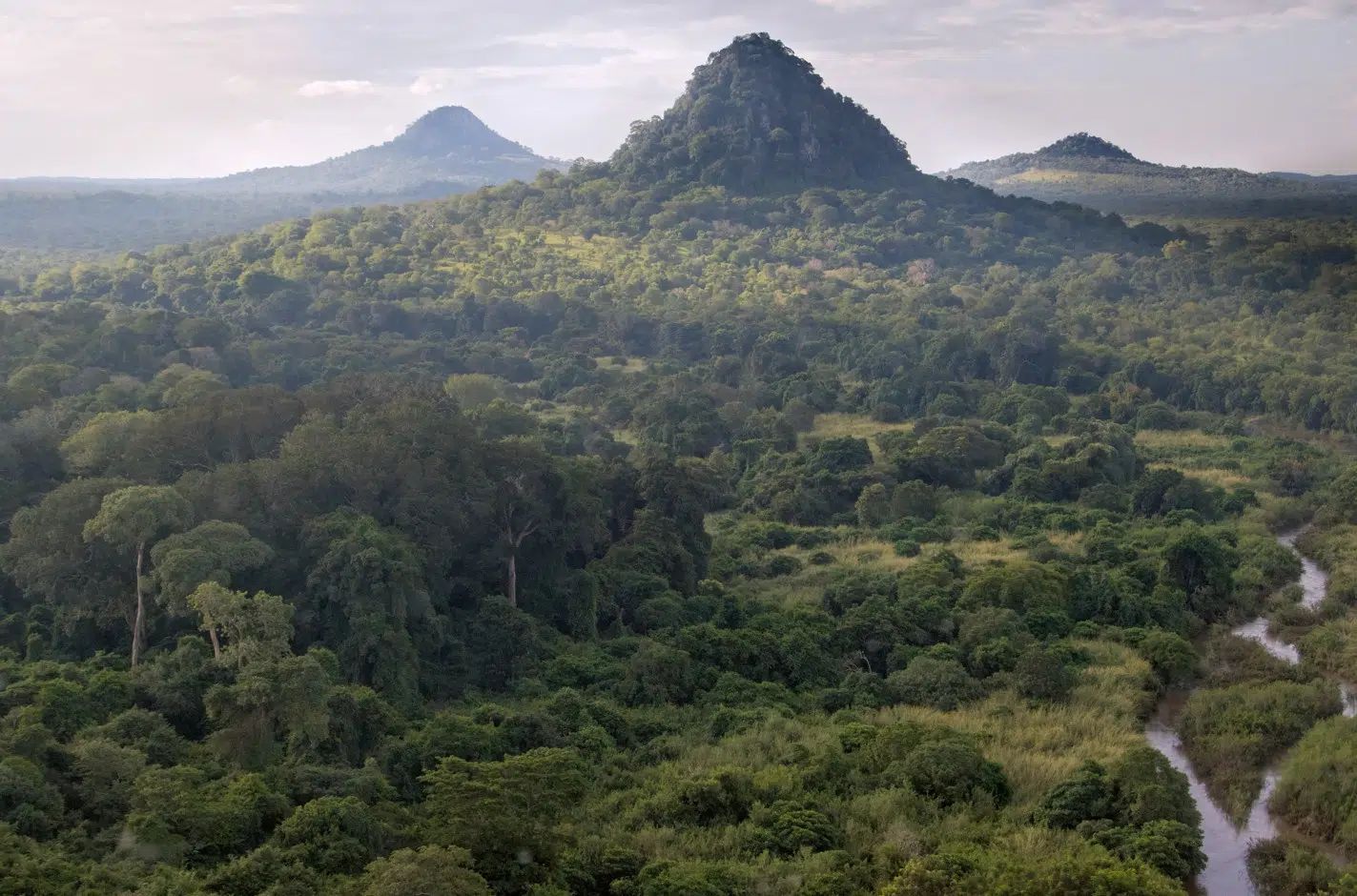 Lush green forest valley with a winding river and steep, misty mountain peaks in the distance