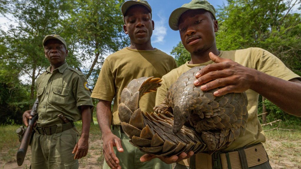 Three people outdoors holding a large tortoise, with one person supporting it in the foreground.