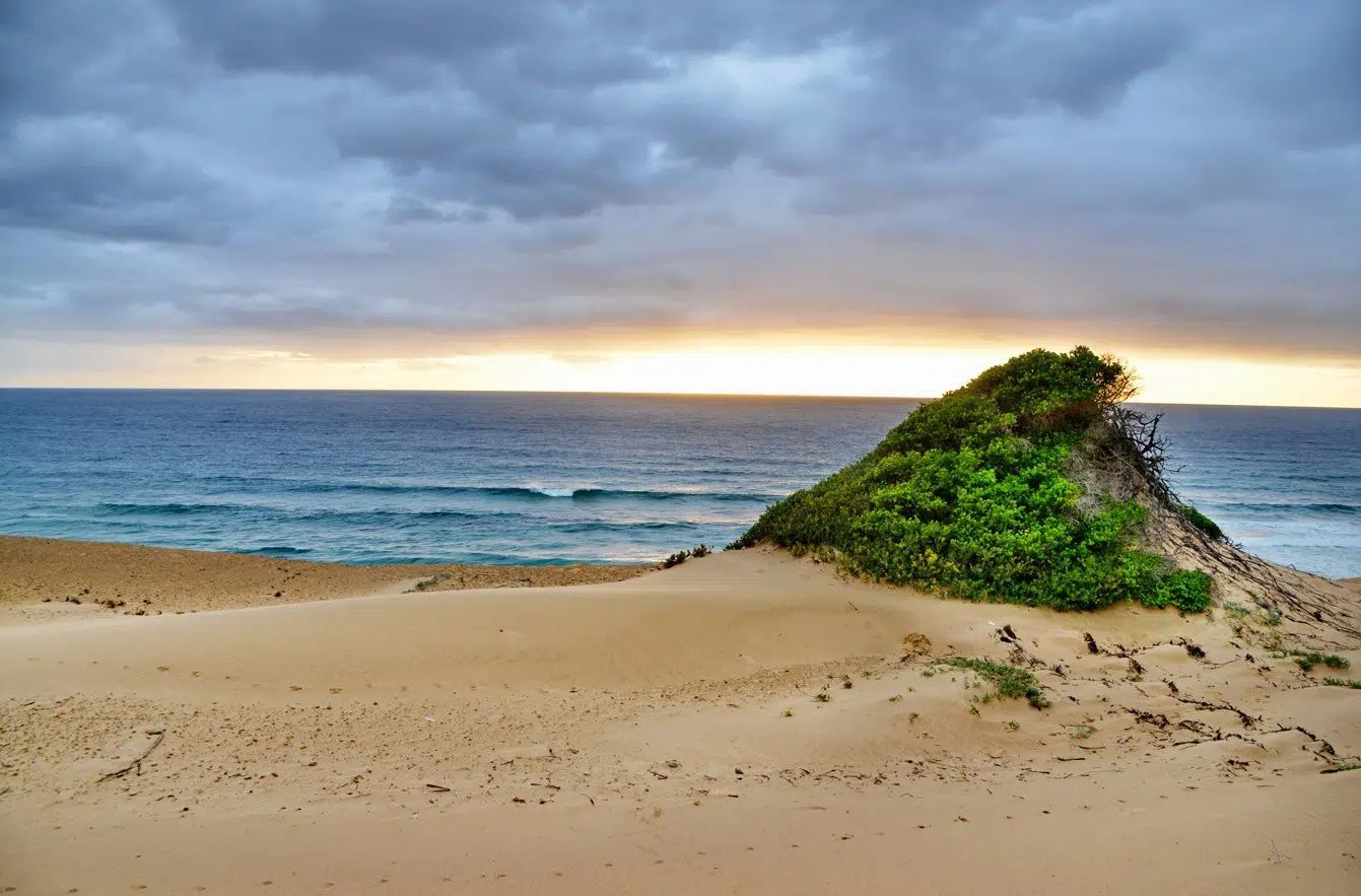 Sandy beach with a grassy dune under cloudy sky at sunset, ocean in the background