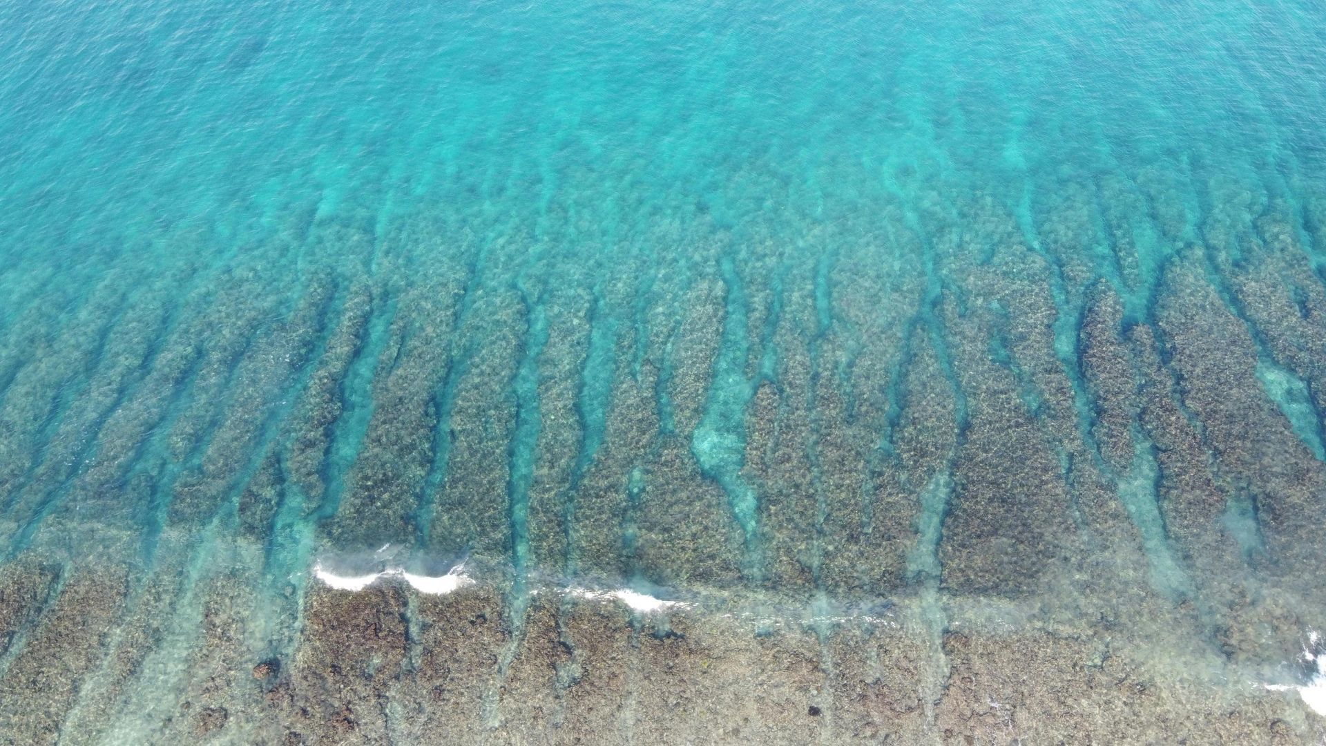 Aerial view of turquoise ocean waves meeting a rocky shoreline