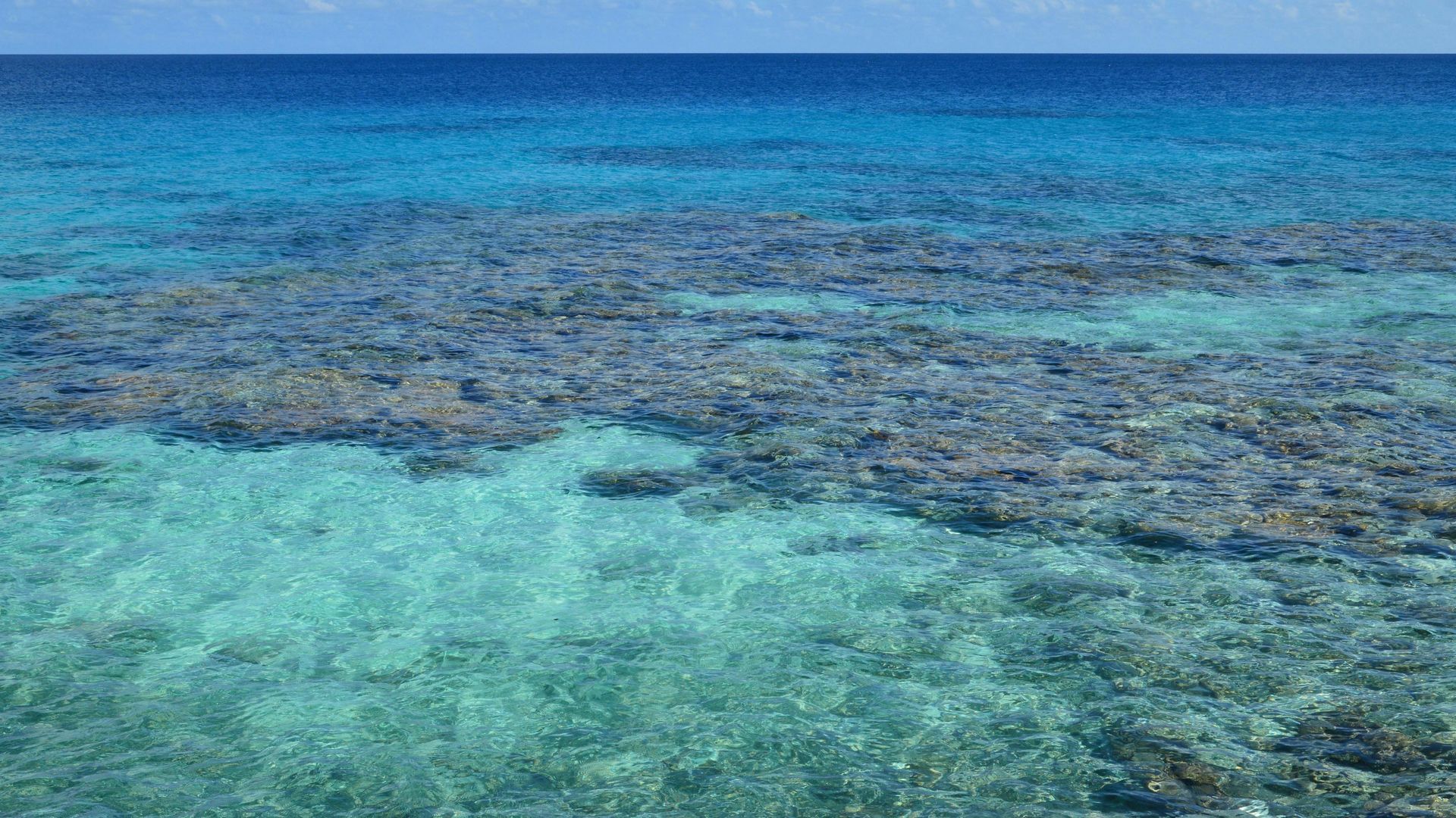 Turquoise ocean over coral reef under a clear blue horizon