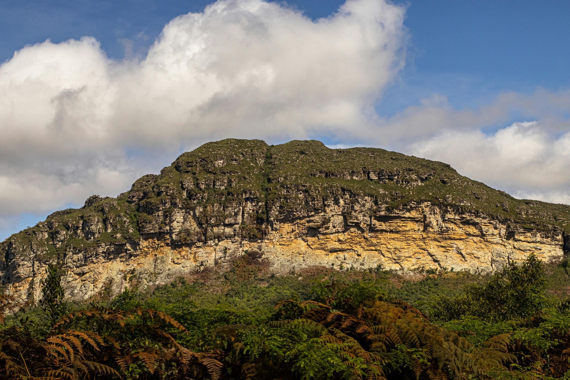 Rocky hillside with dark cliff tops, tan rock layers, green shrubs, and clouds overhead