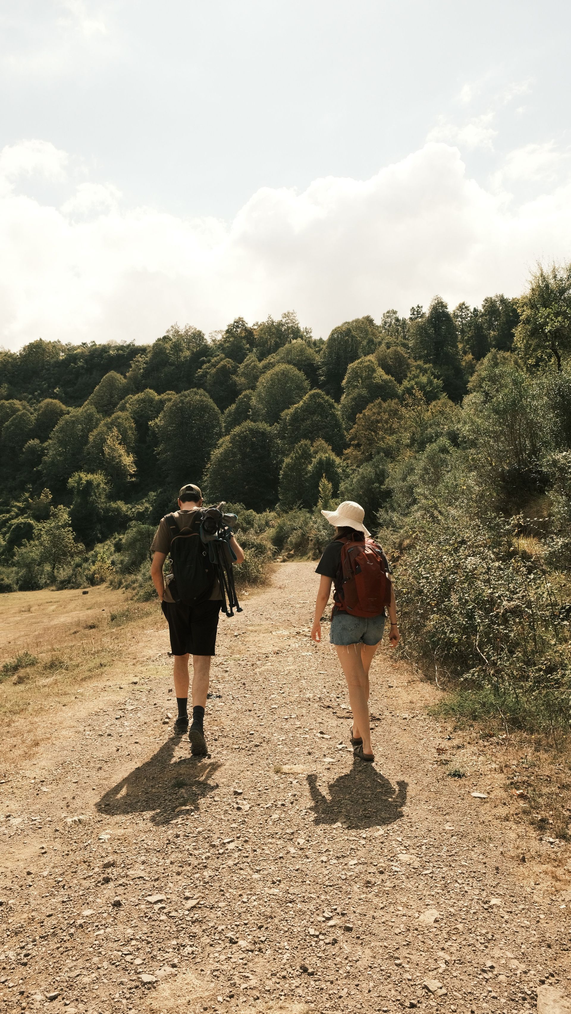 Two hikers walking on a gravel trail beside dense green trees under a bright sky