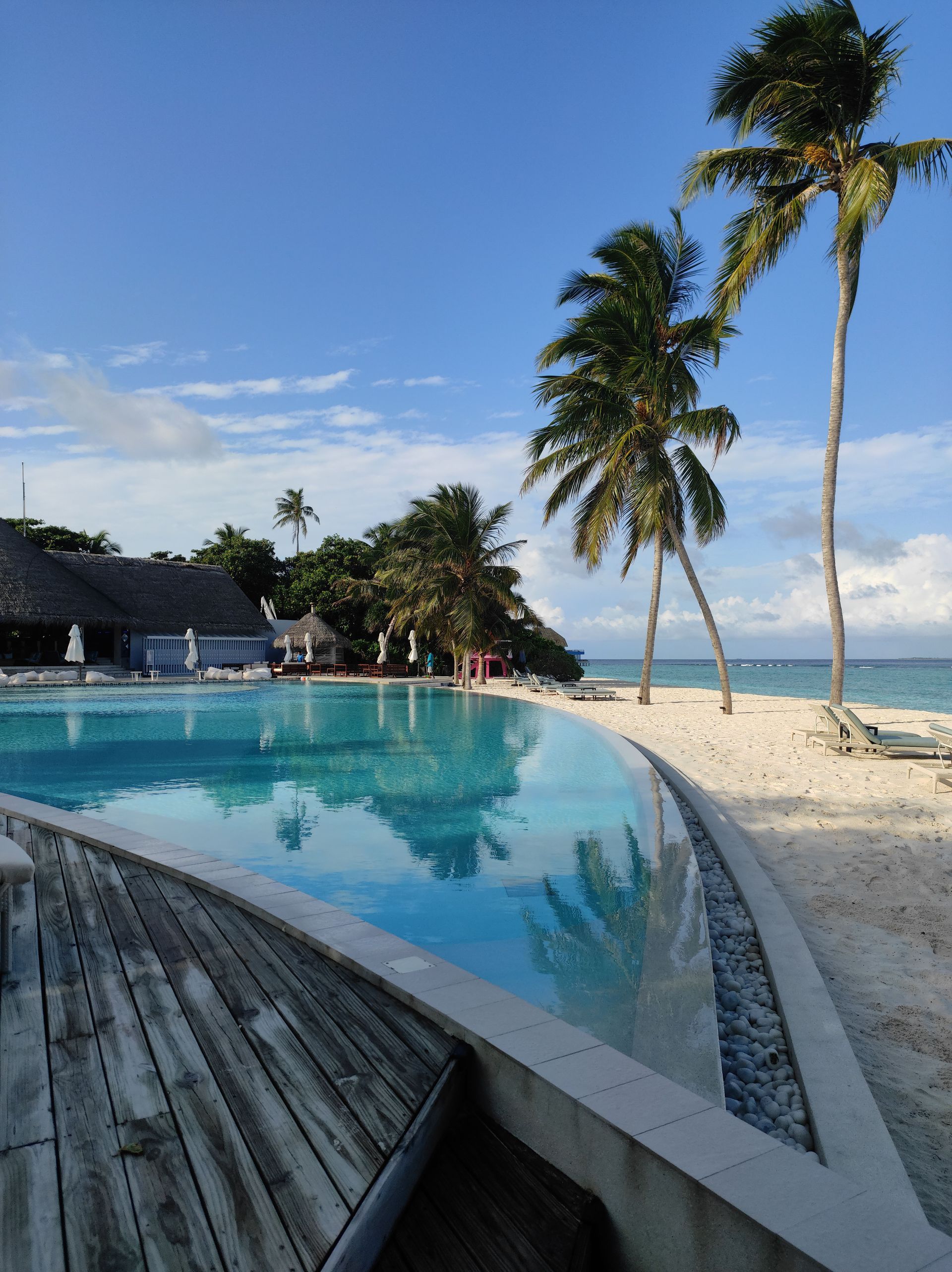 Beachfront resort pool curving beside white sand, palm trees, and turquoise ocean under a blue sky