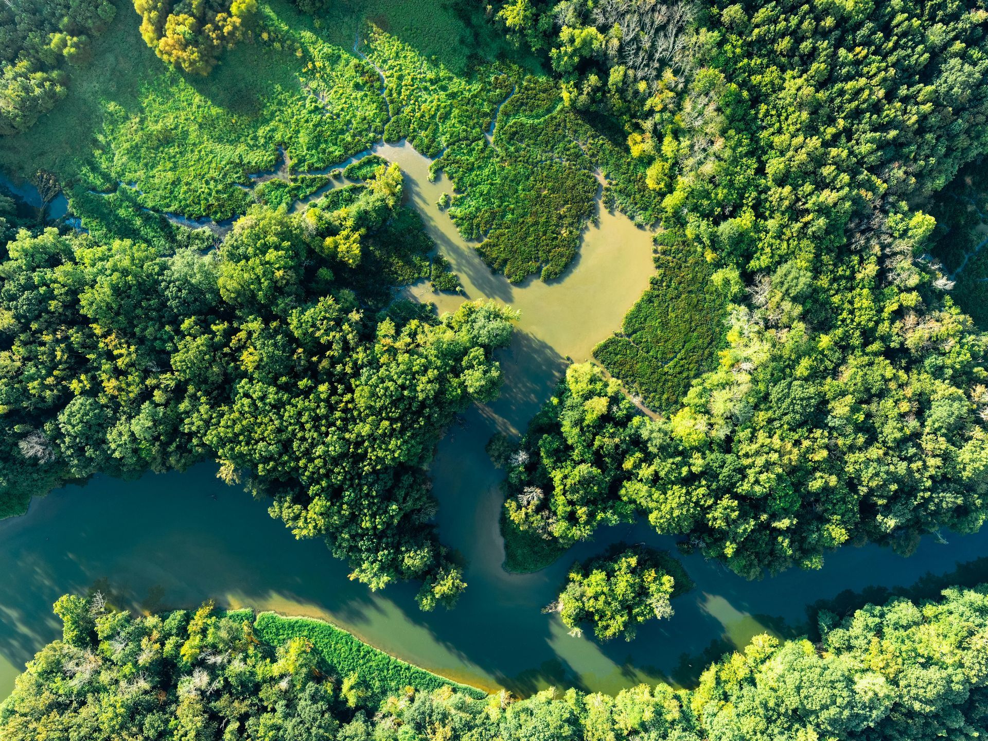Aerial view of a winding river through dense green forest and a small muddy clearing