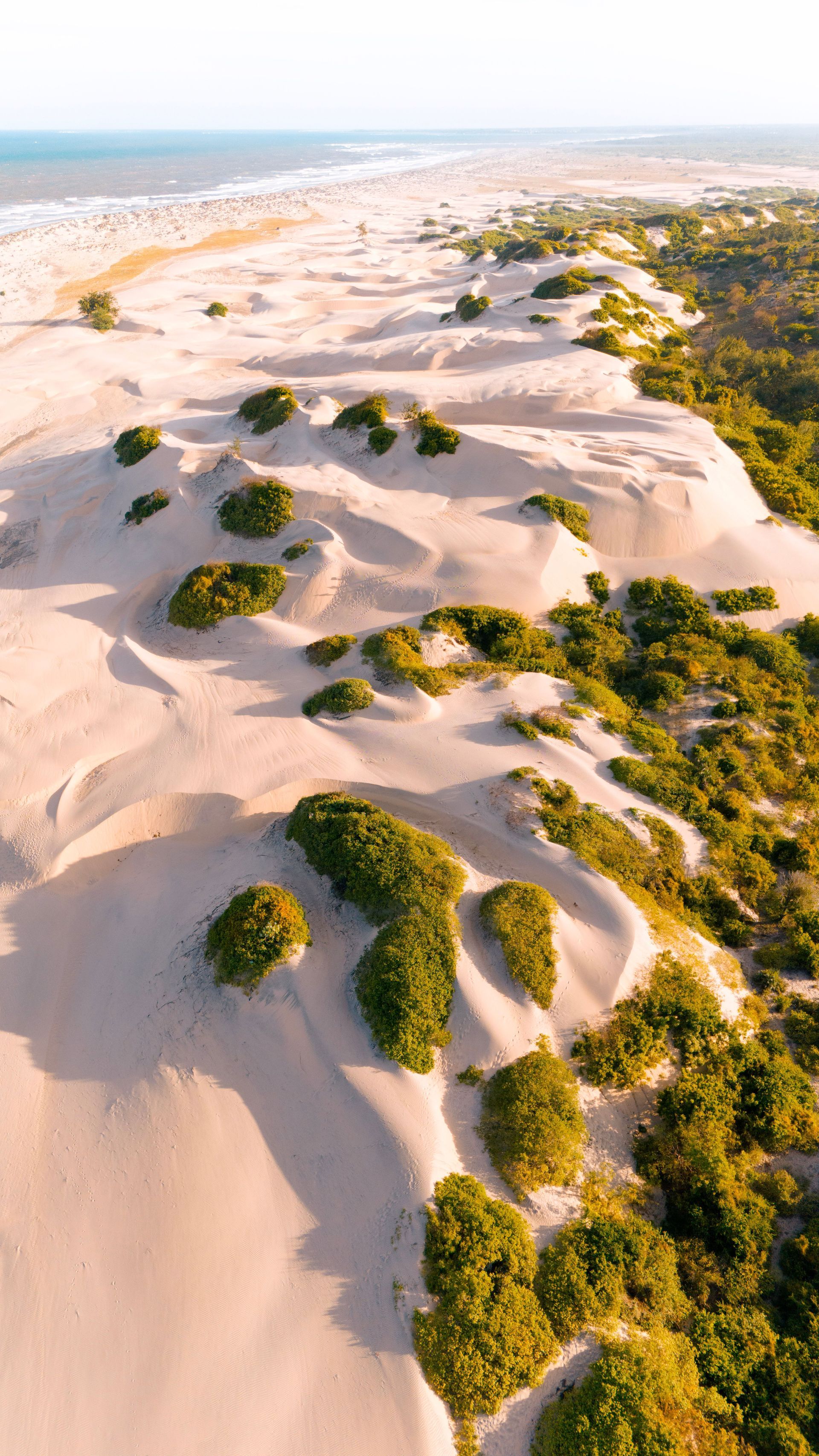 Aerial view of white sand dunes dotted with green shrubs under a clear sky
