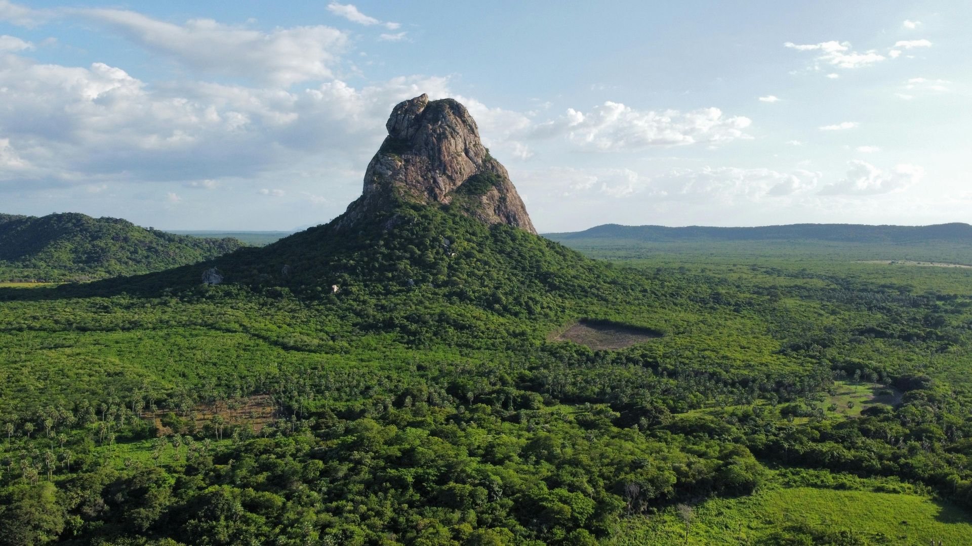 Lone rocky hill rising from a lush green forest under a partly cloudy blue sky