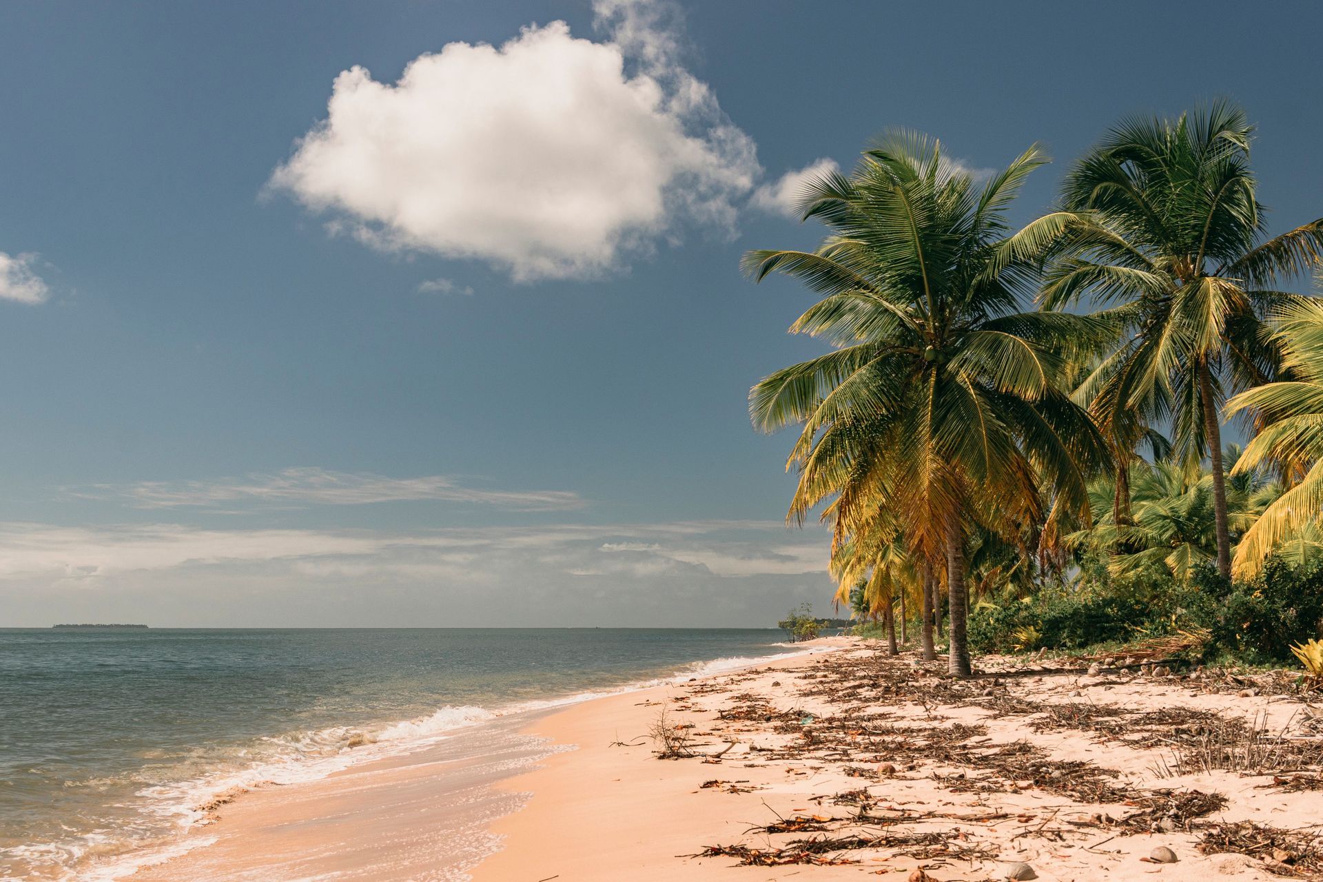 Sunny tropical beach with palm trees, calm ocean, and a single white cloud in a blue sky