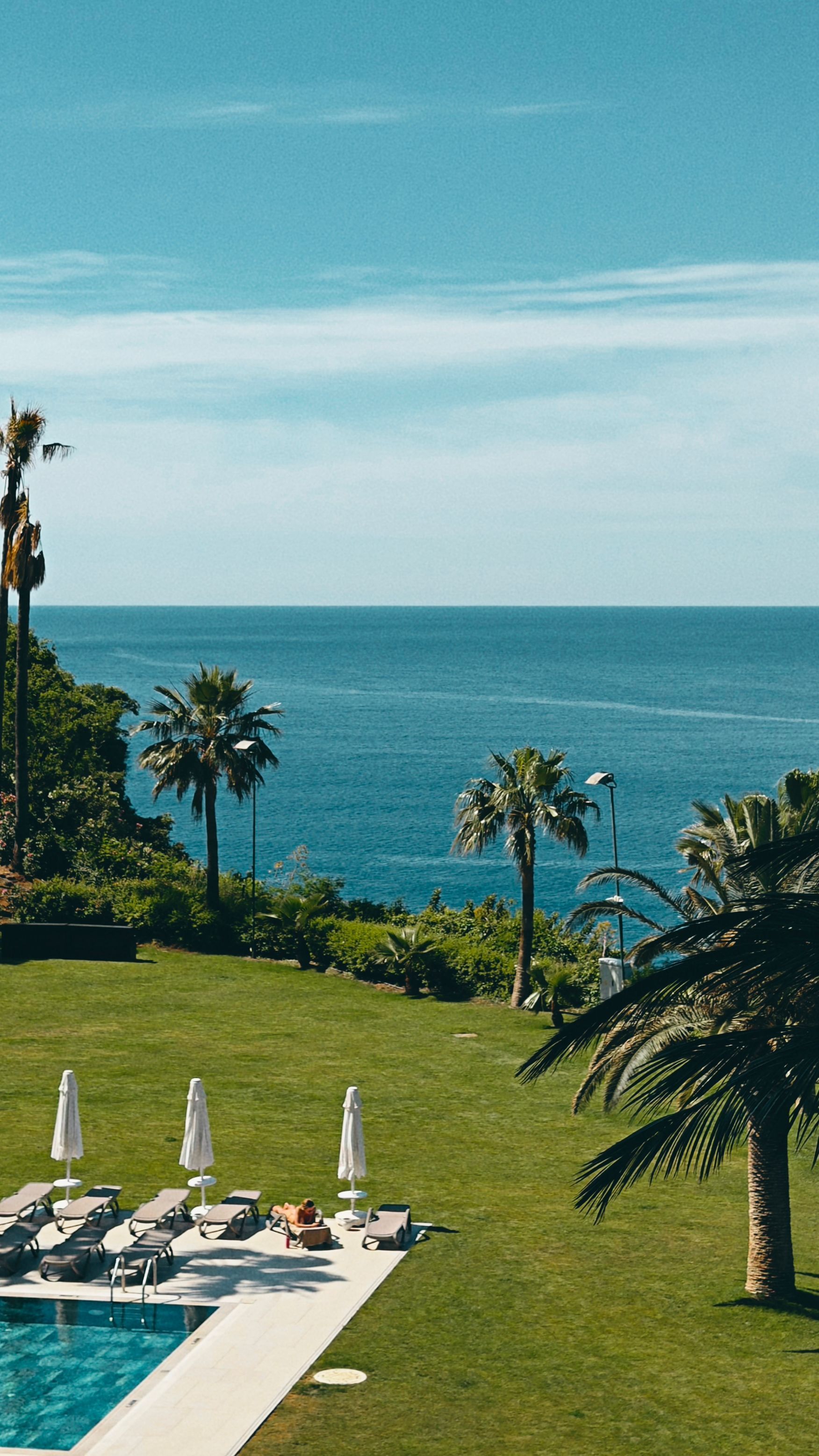 Oceanfront resort lawn with palm trees, lounge chairs, and a pool overlooking the sea