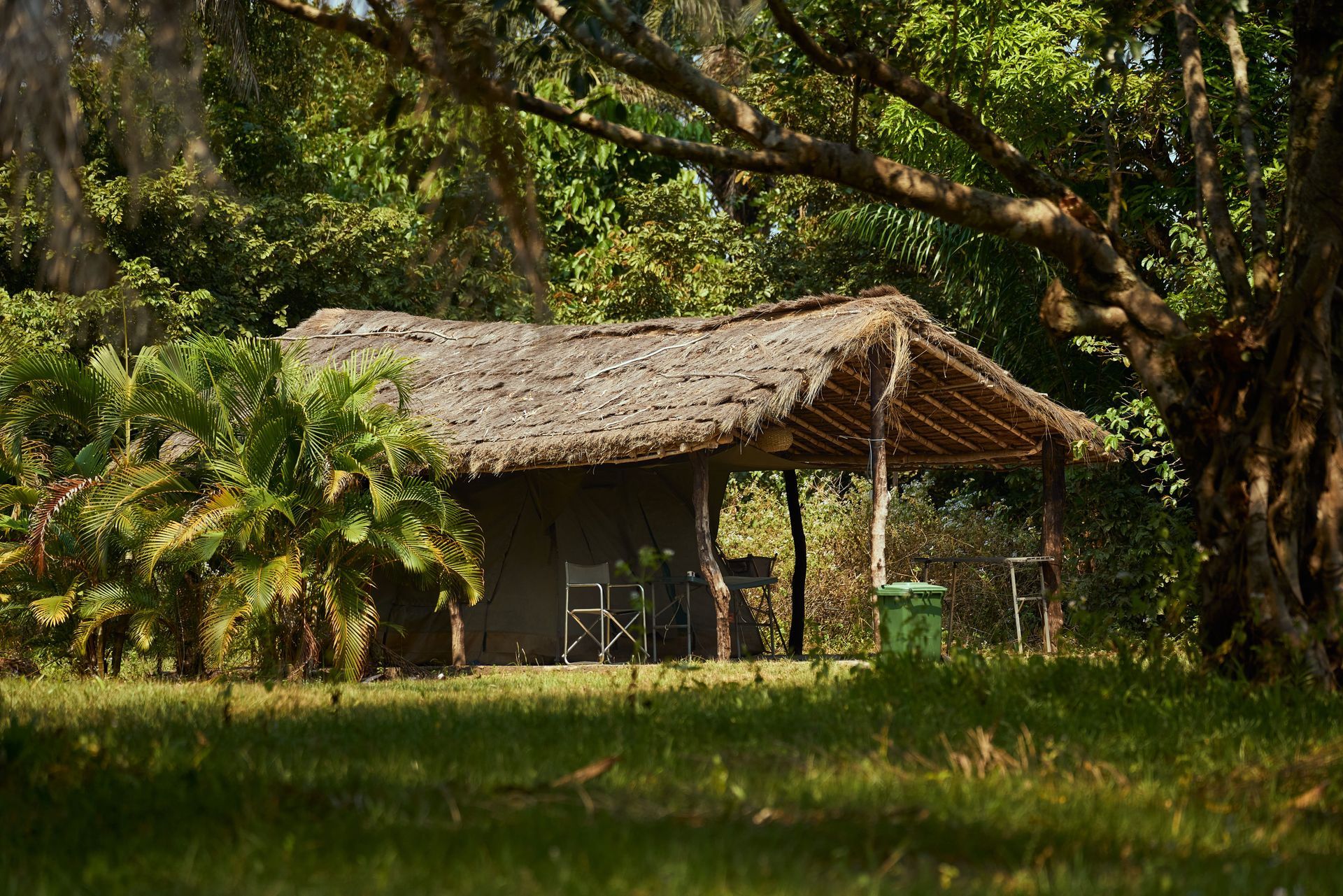 Thatched hut in a lush green forest clearing with a small porch and trees overhead