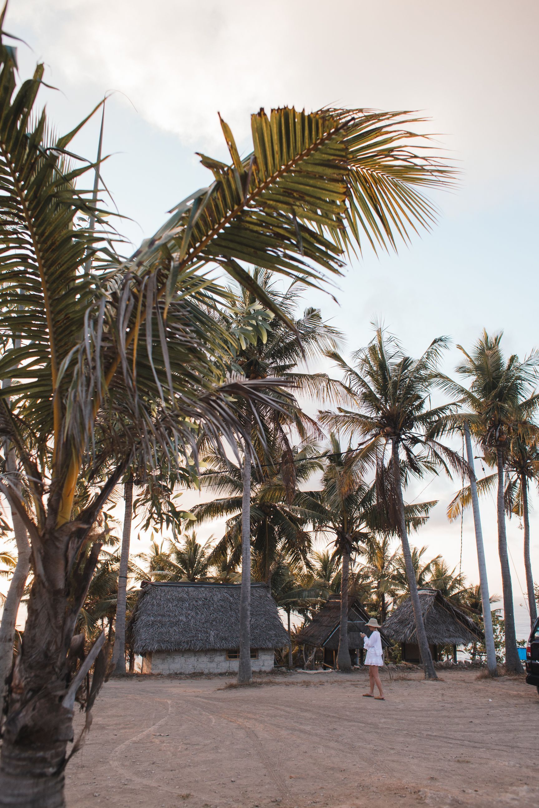 Palm trees on a sandy beach at sunset, with a small hut and a person in the distance.