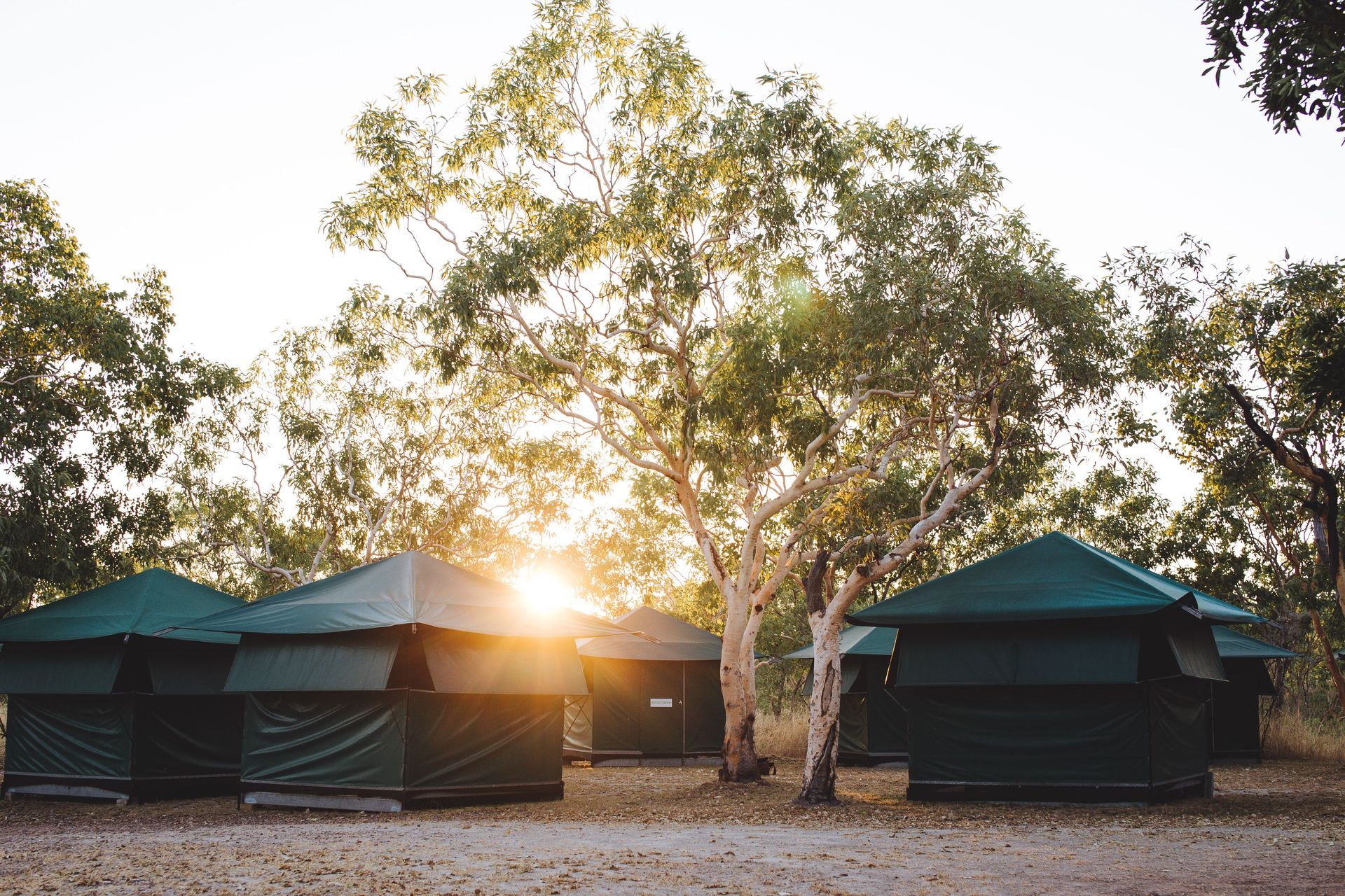Sunlit campsite with green tents under trees at dawn