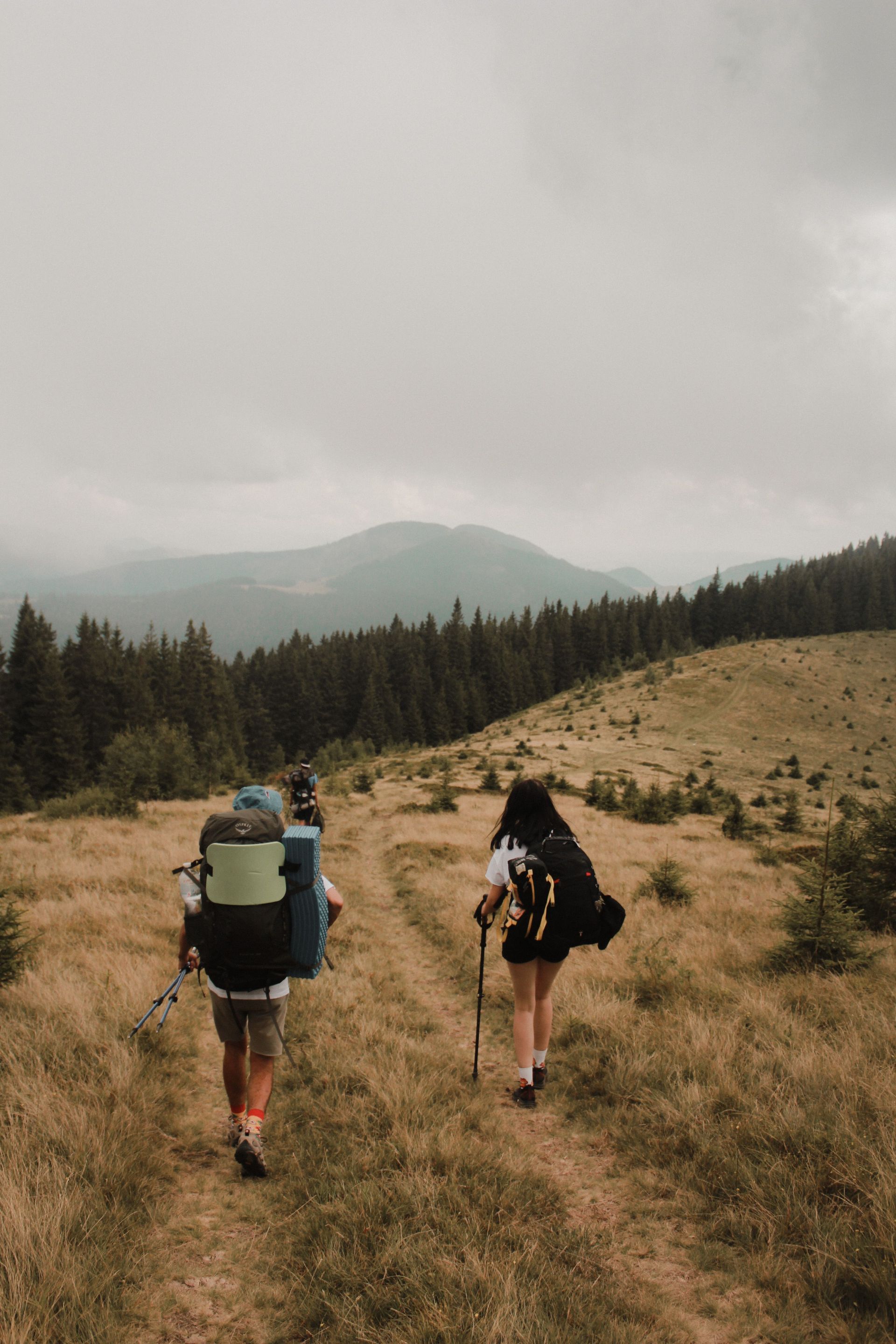 Two hikers with backpacks walk through a grassy meadow toward distant misty mountains under cloudy skies