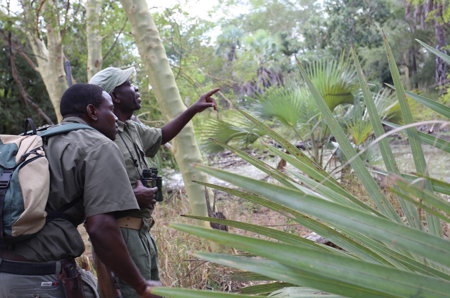 Two hikers in green gear point ahead while exploring a lush forest trail