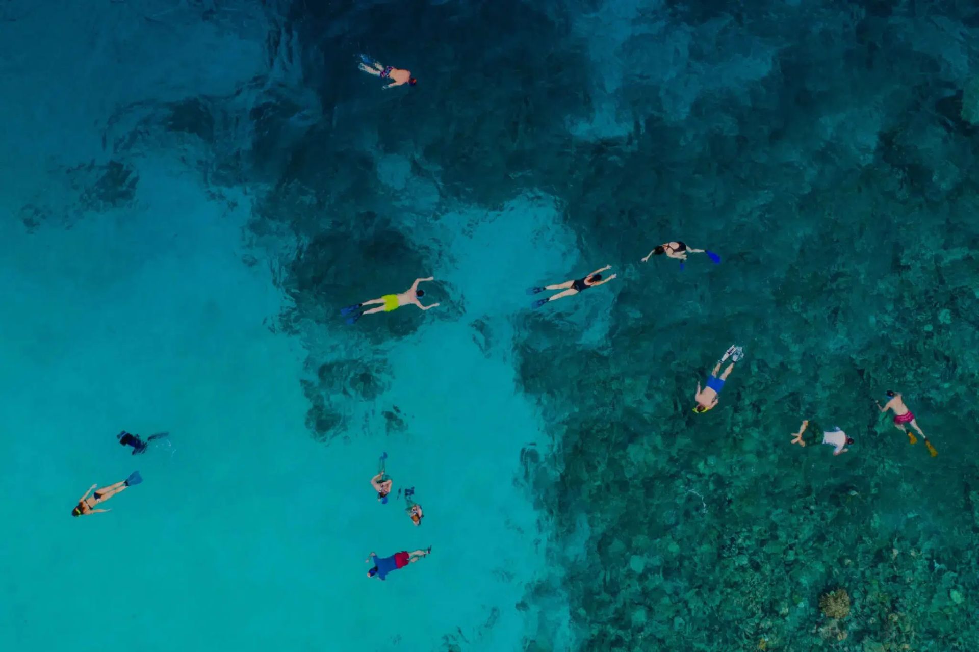 Snorkelers in turquoise water near a dark coral reef, viewed from above