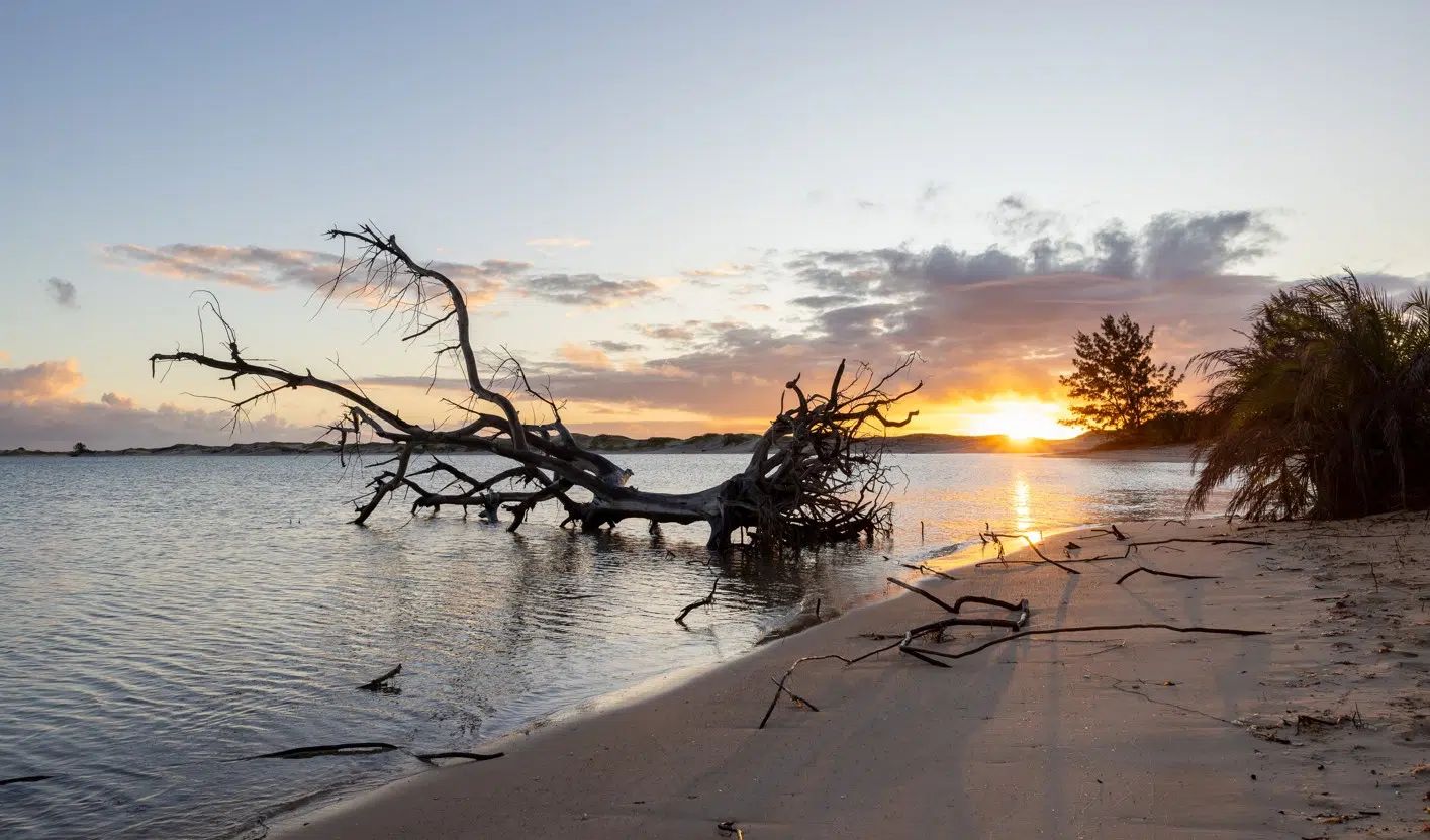 The unique eco-system of the Bazaruto Archipelago sustains diverse fauna and flora. Visitors exploring the islands will find huge dunes, forest and savannah, inland lakes and wetlands. ~ Photo Credit @BCSS & Orlando, Miranda+Salvador Colvee.