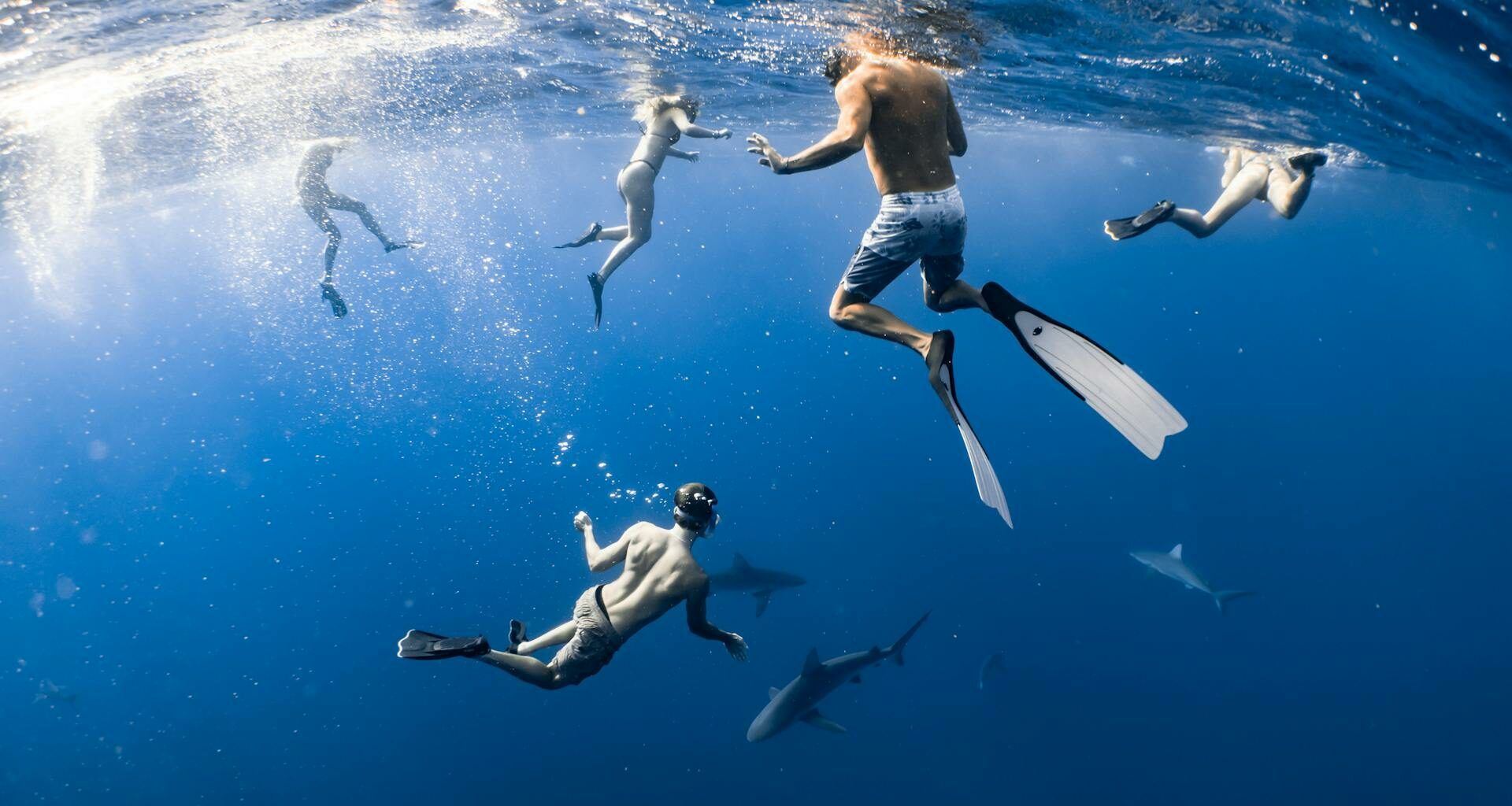 People swimming underwater in bright blue ocean, seen from below with sunlight streaming through the surface
