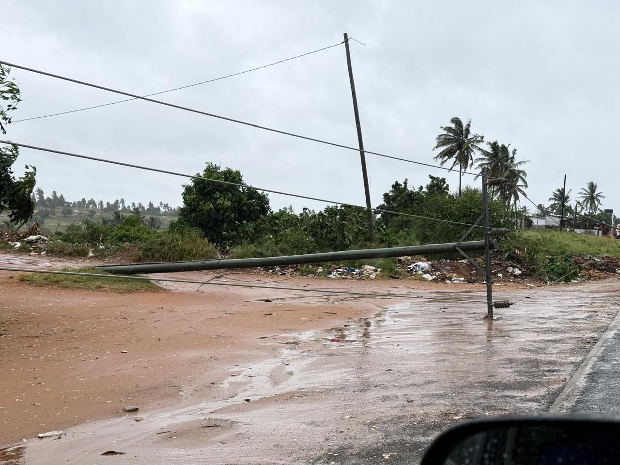 Flooded dirt road with fallen utility pole and palm trees after rain