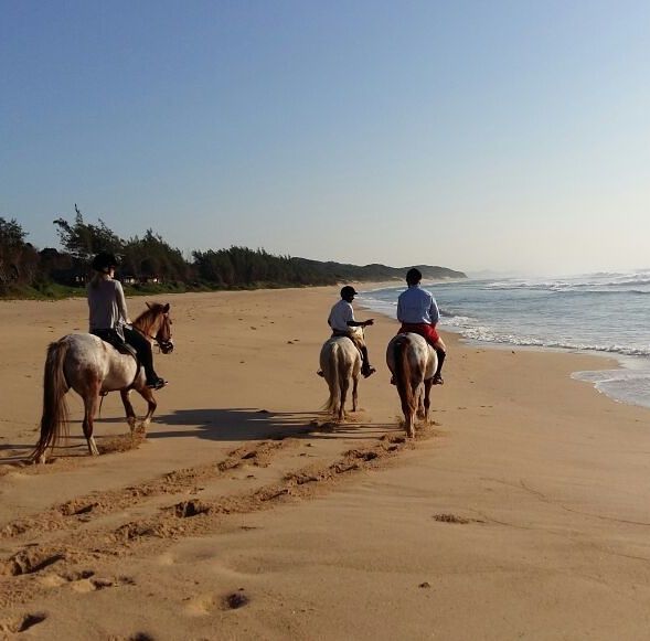 Three riders on horses travel along a sandy beach beside the ocean under a clear sky.