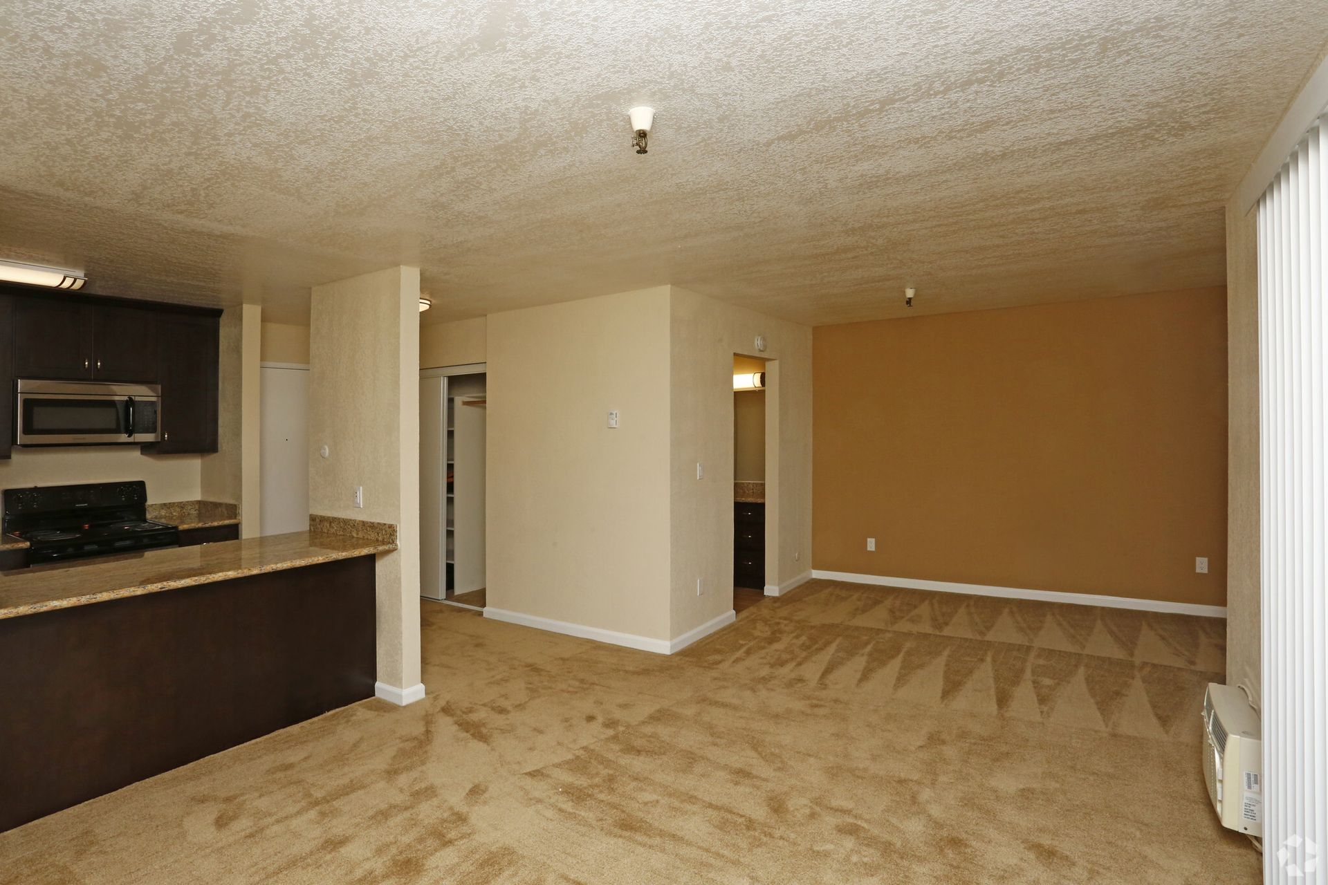 An empty apartment with a kitchen and a living room