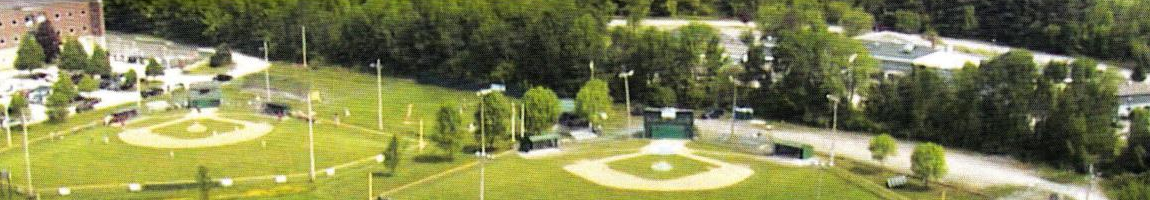 A blurry picture of a field with trees in the background