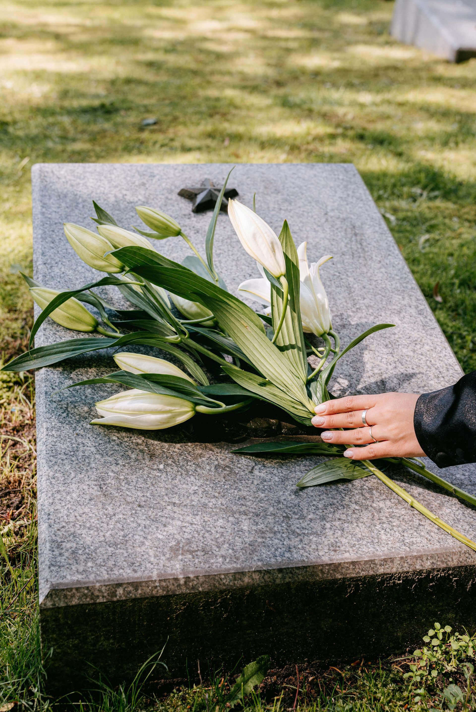 Hand placing lilies on a gray headstone in a grassy cemetery.
