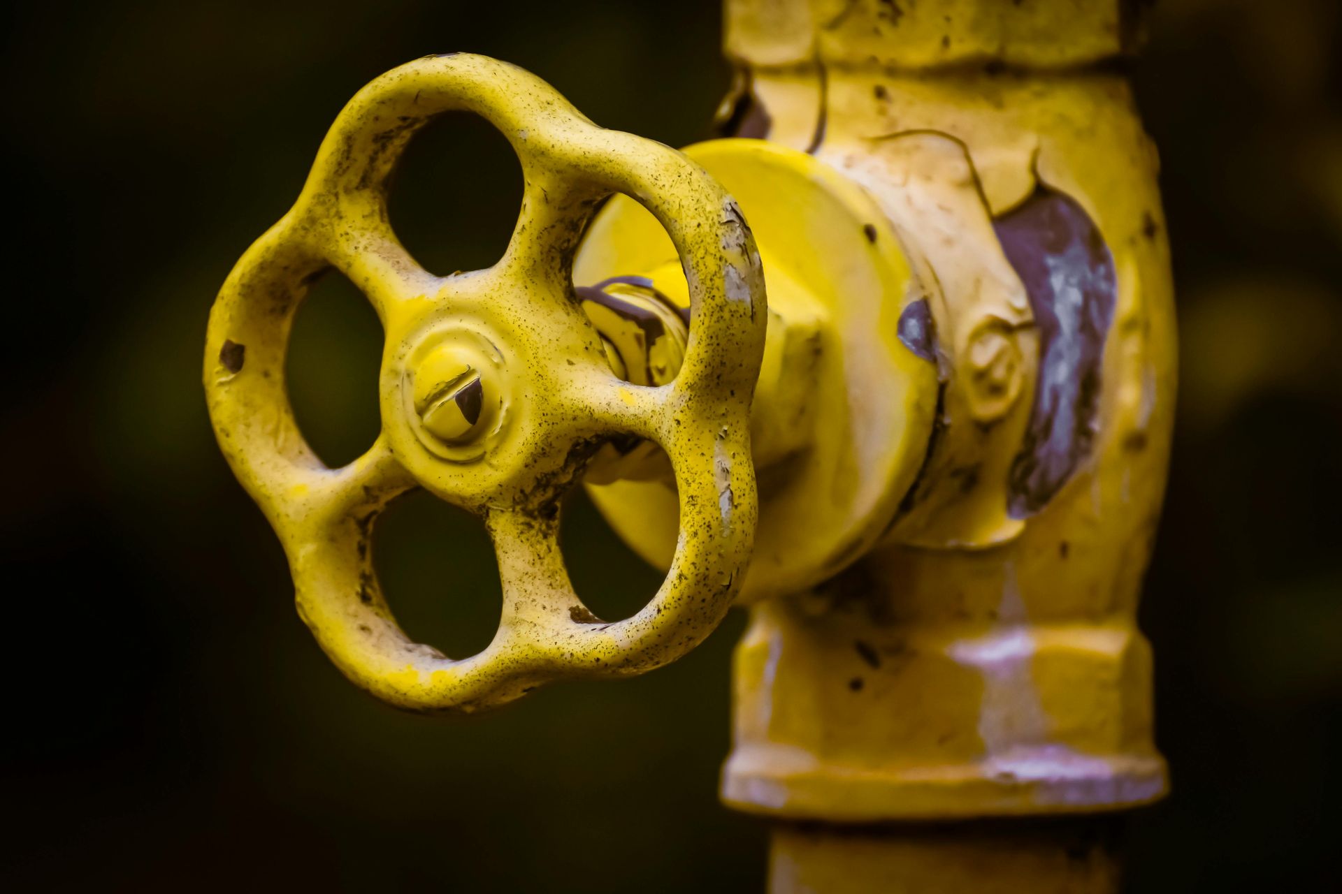 A plumber is inspecting pipes