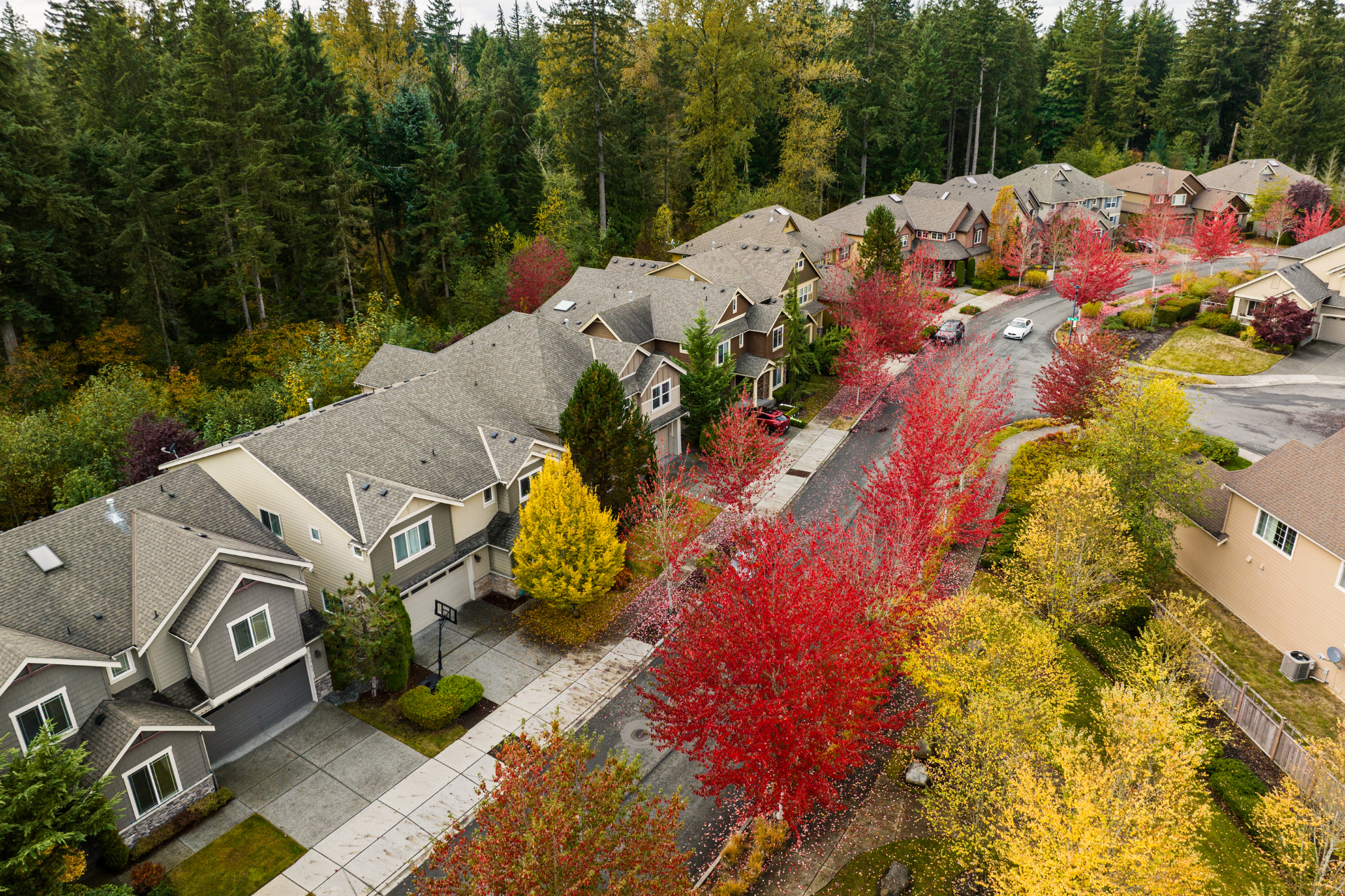 An aerial view of a residential neighborhood in the fall with trees changing colors.