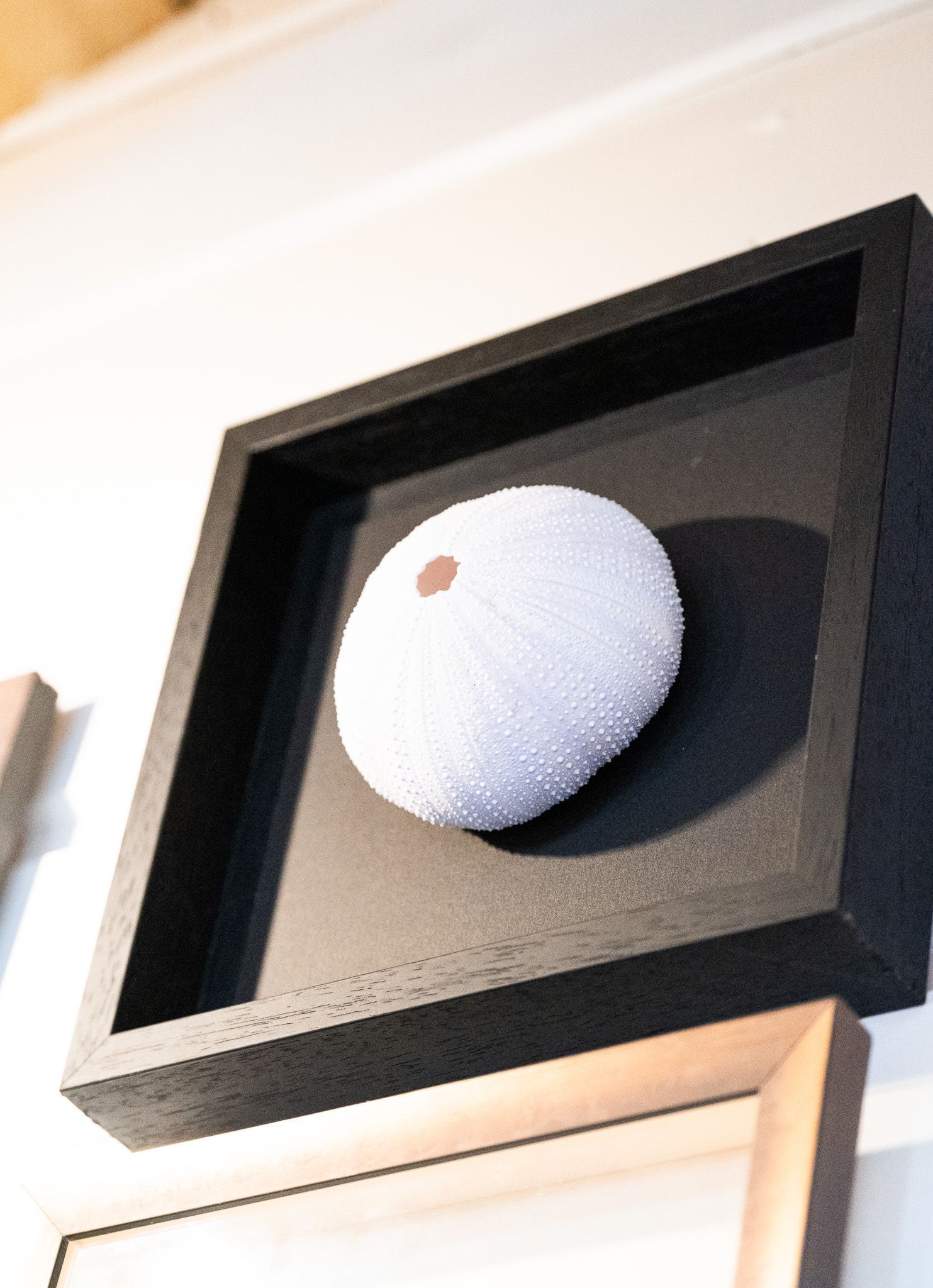 Encadrement d'un objet