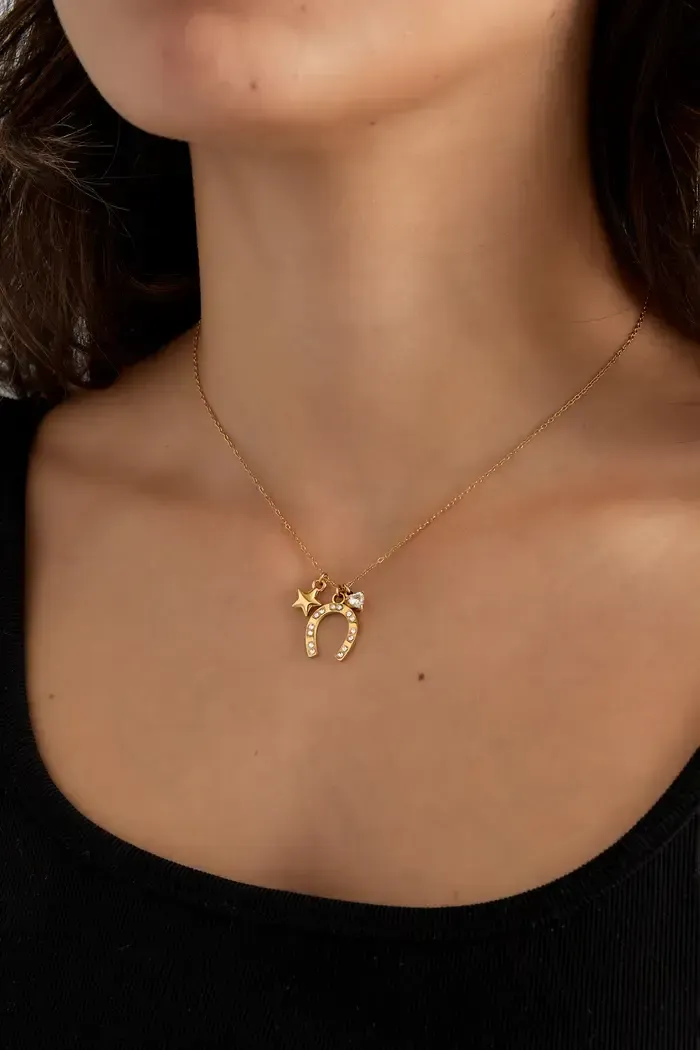 Een zilveren ketting met een hoefijzerhanger aan een ketting.