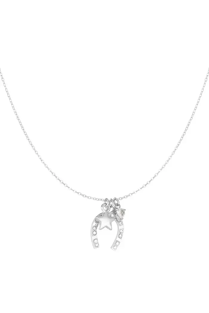Een zilveren ketting met een hoefijzerhanger aan een ketting.