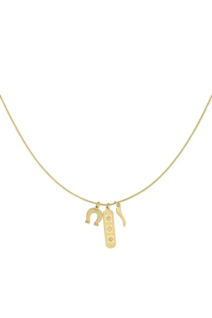 Een gouden ketting met een hoefijzer en een zuurstokhanger